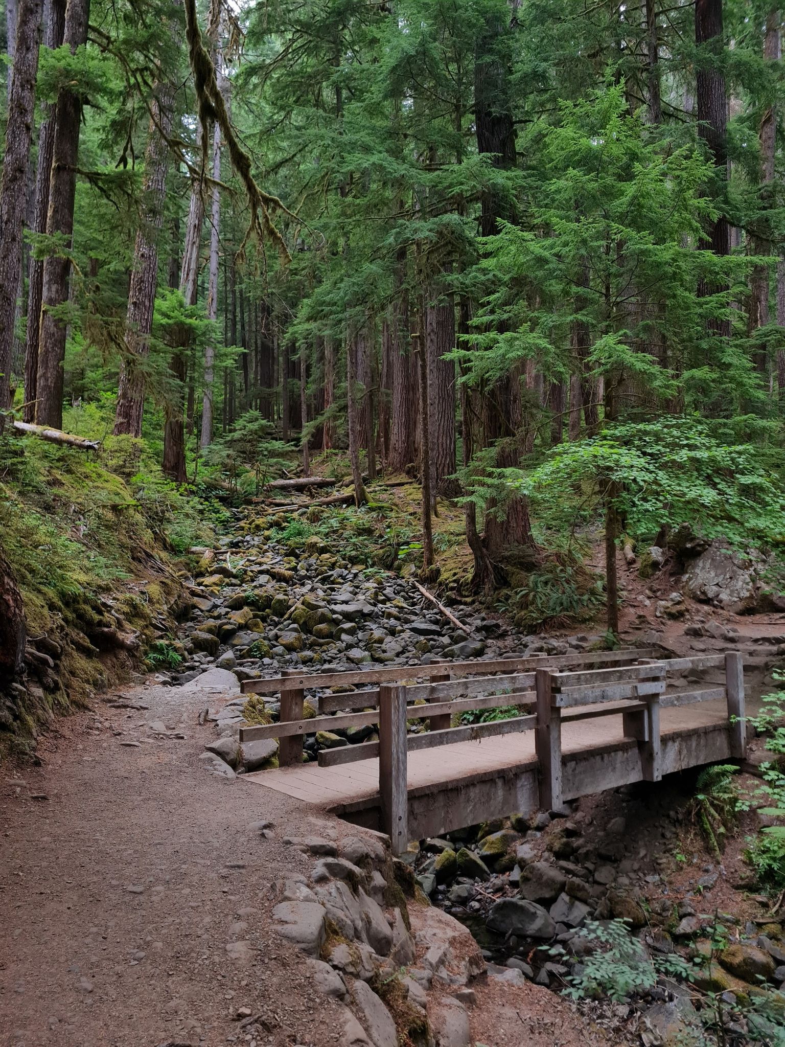 Wooden bridge over a rocky stream in a dense, green forest. - Sol Duc Falls Nature Trail