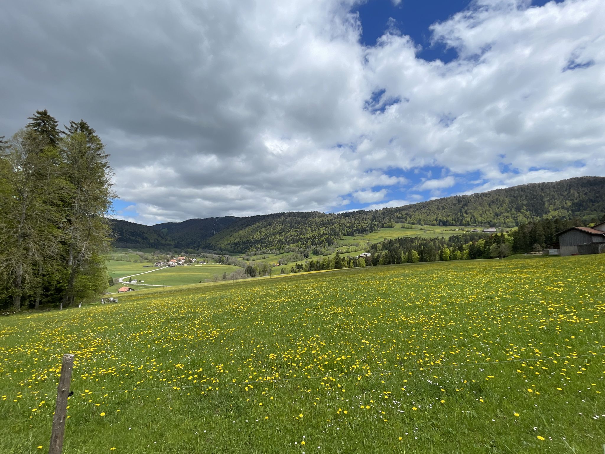 Le Pâquier im Hintergrund