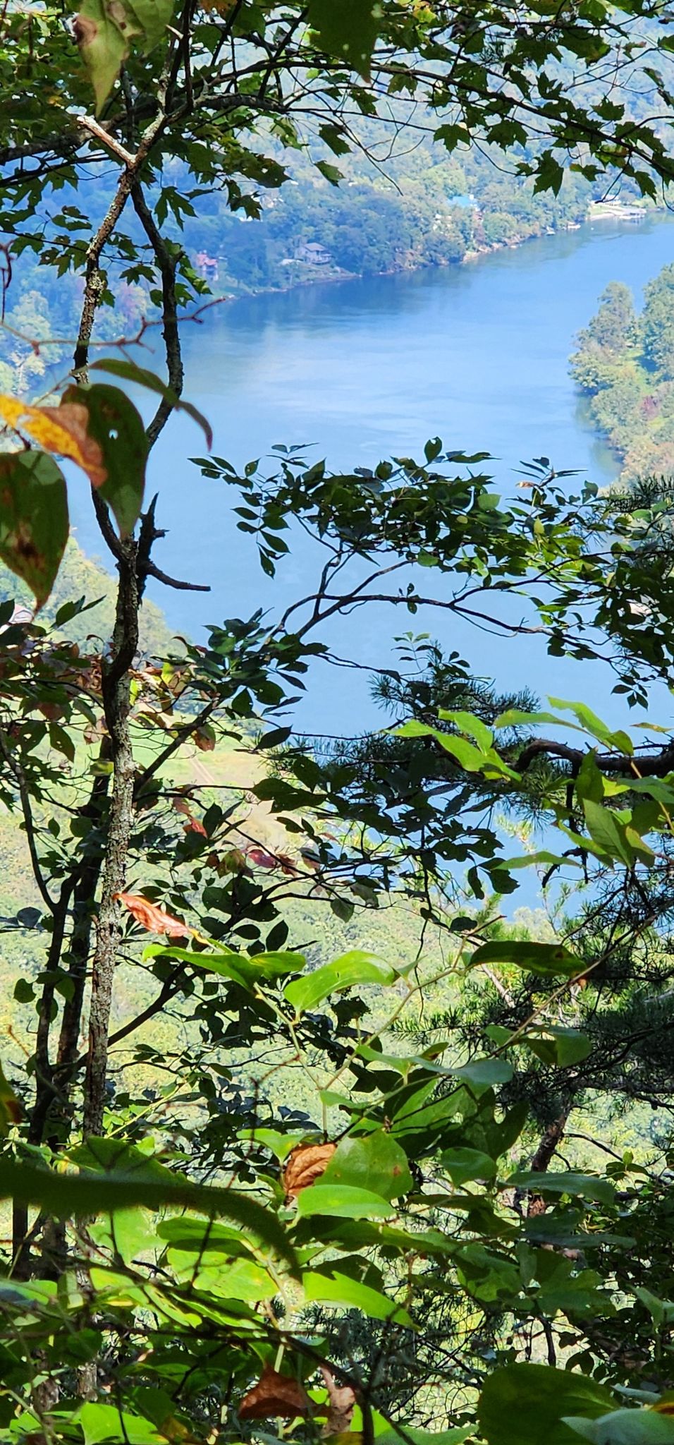 Lush green trees frame a winding blue river under bright daylight. - Snoopers Rock Trail