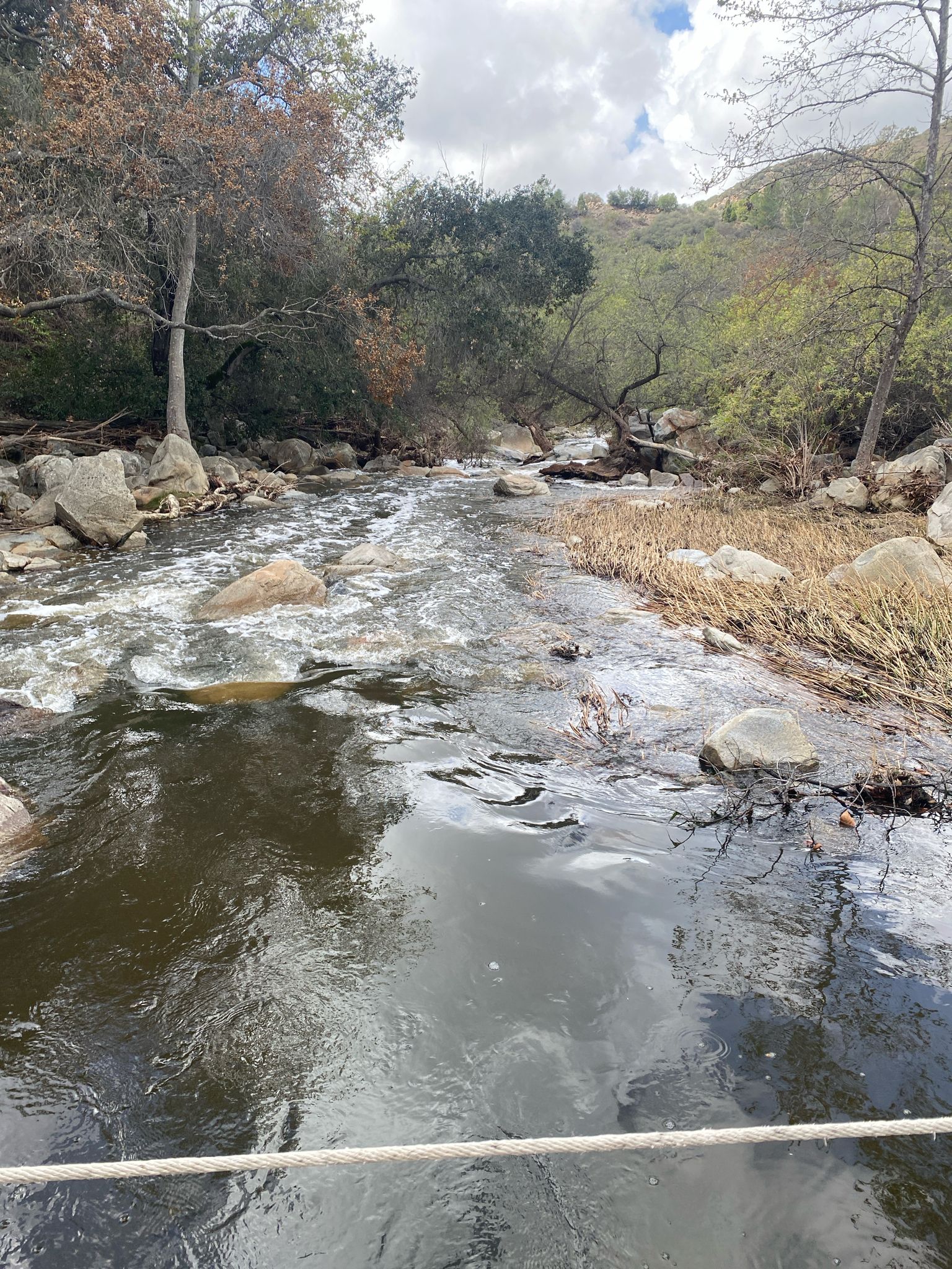 A rocky river with rushing water flows through a green, wooded landscape. - Elfin Forest Loop