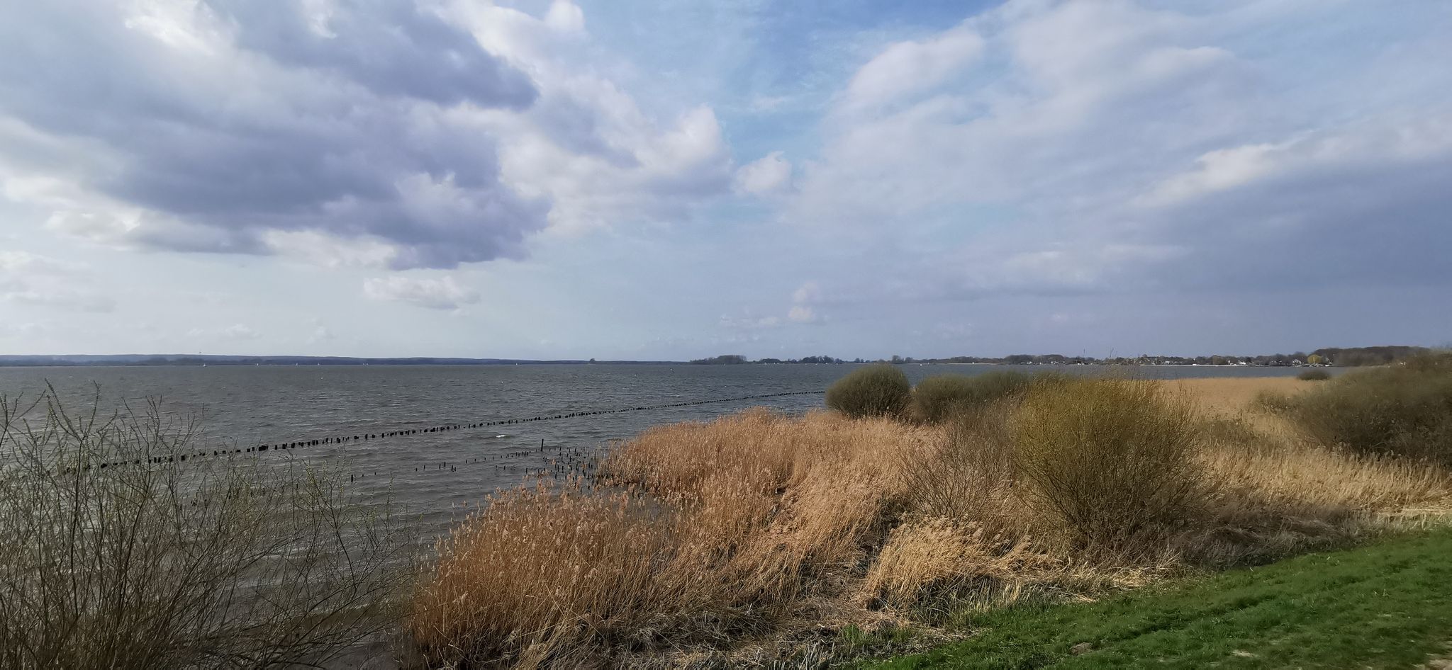 Dümmer See