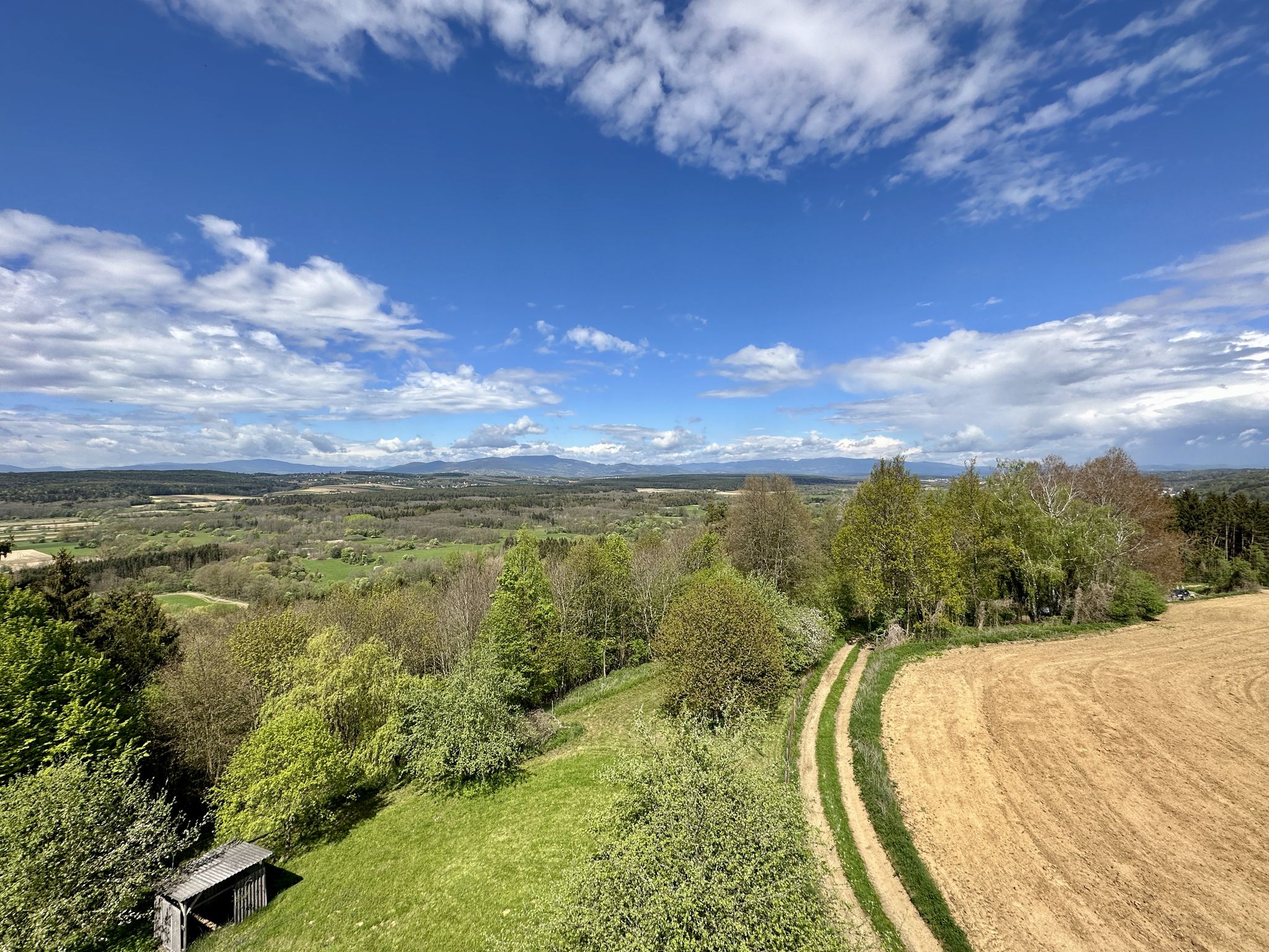 Blick in Richtung Hochwechsel