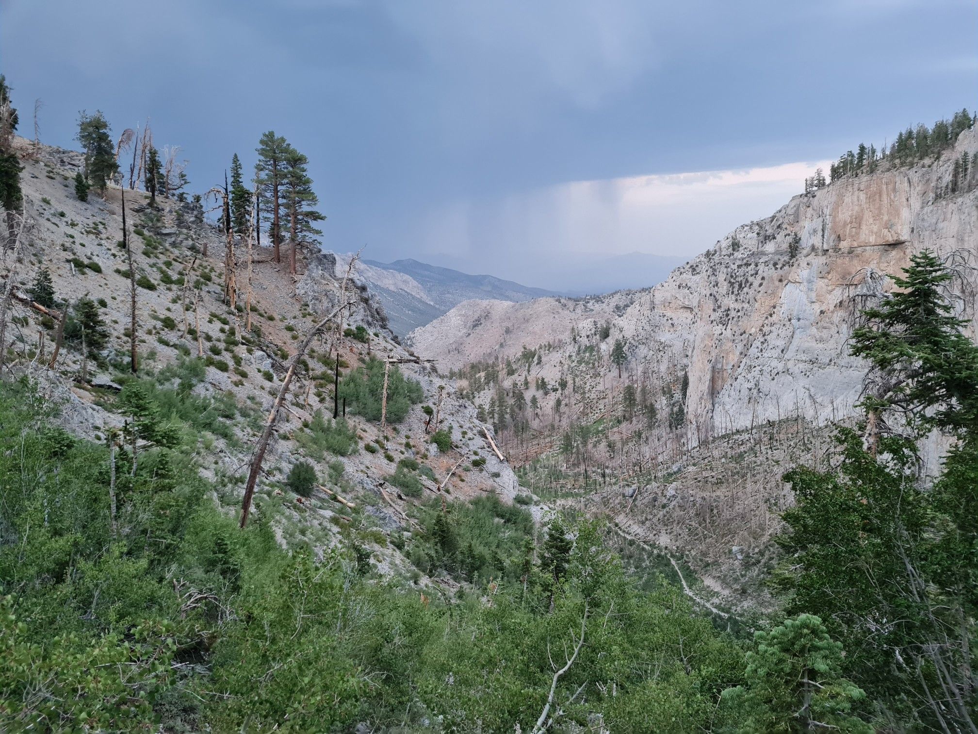 Mountain valley with steep, rocky slopes and scattered trees under cloudy sky. - Echo Overlook Trail