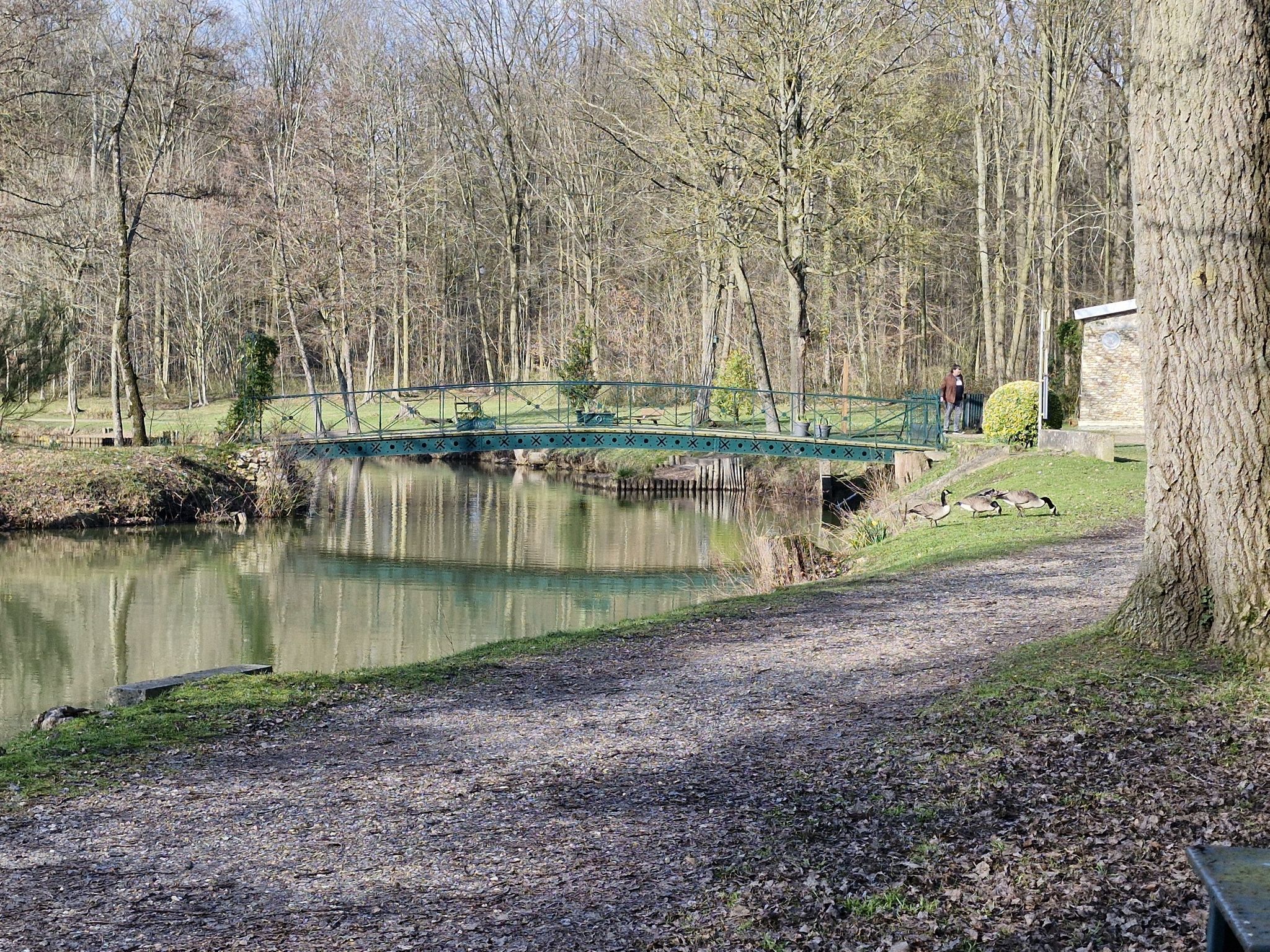 le pont de l'étang