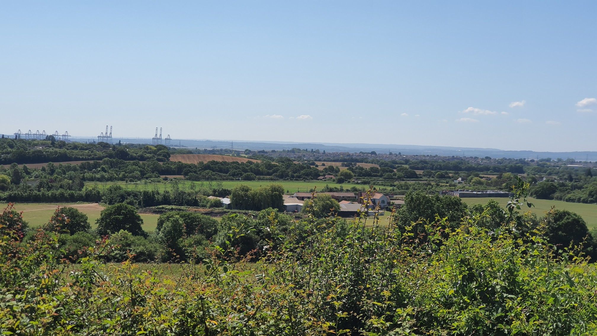 view point 