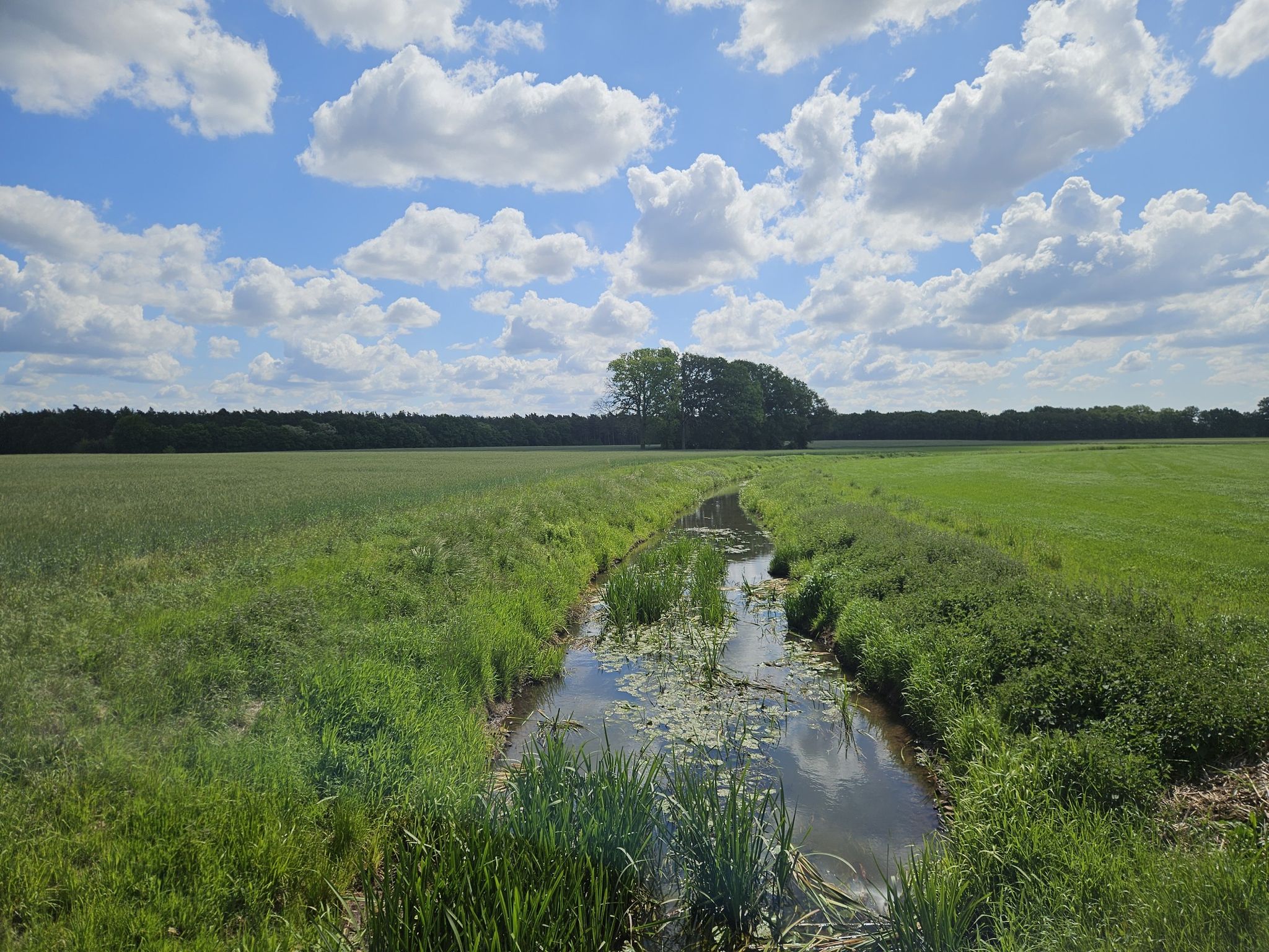 Klosterholte
