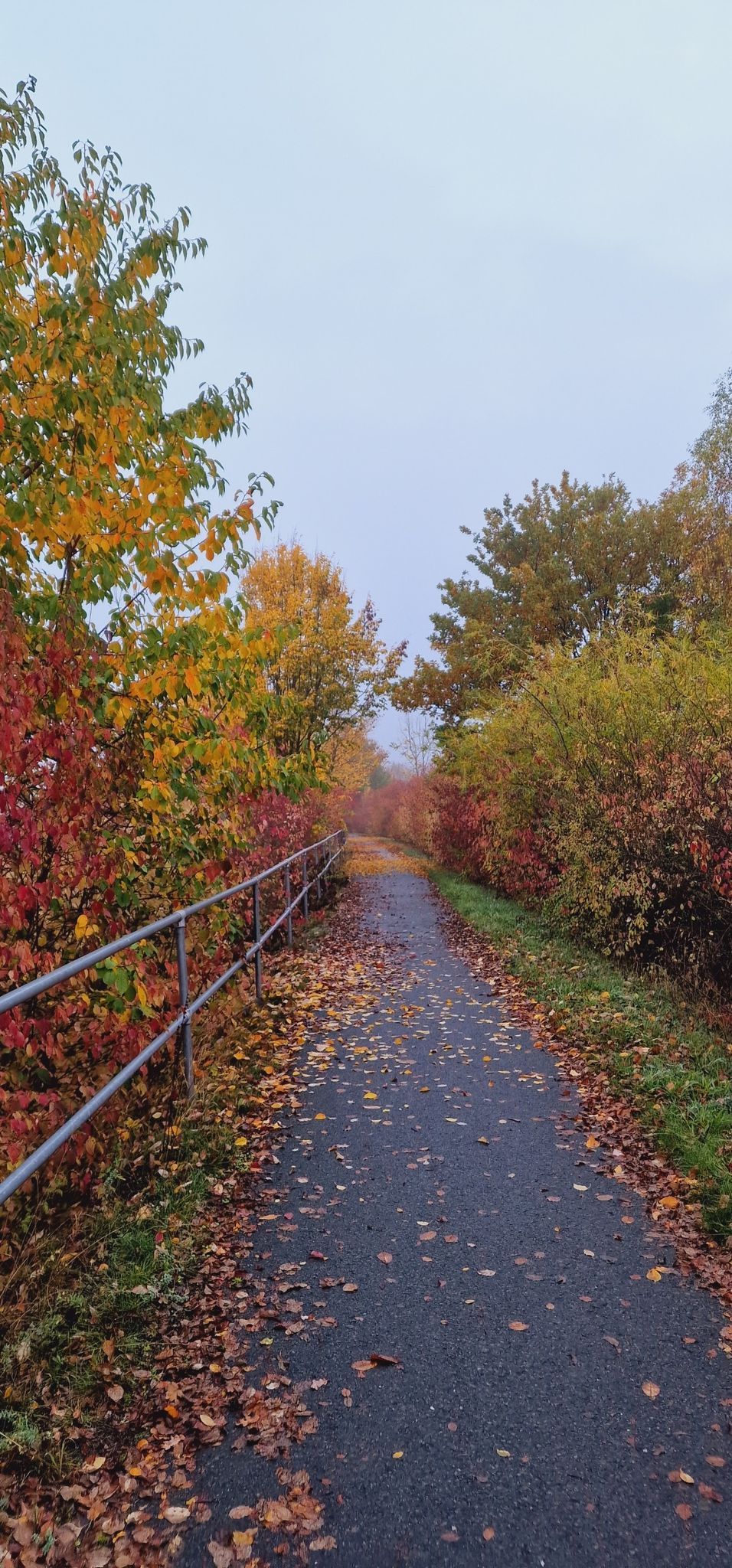 Radweg