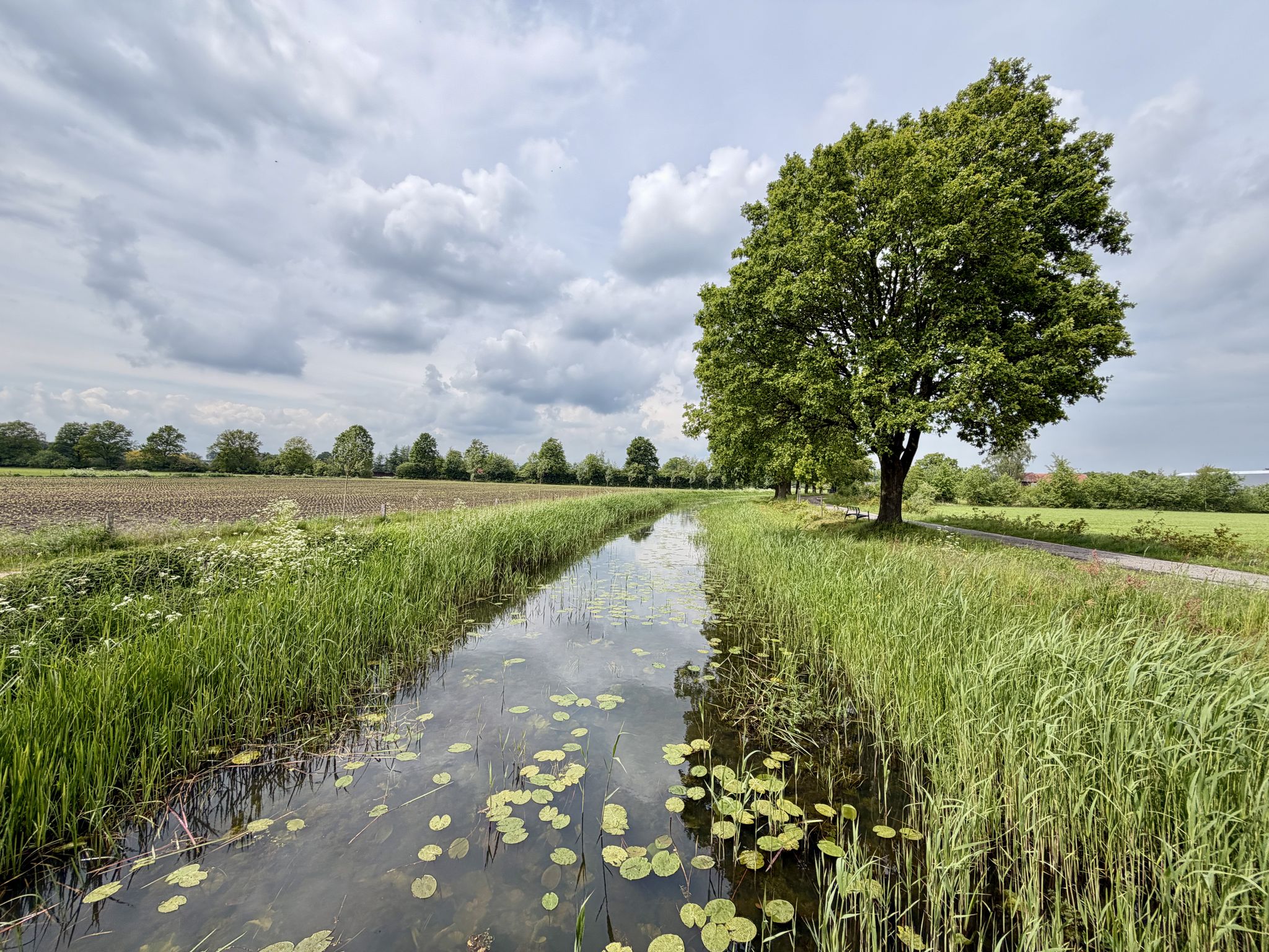Veengoot, Brug Halsedijk
