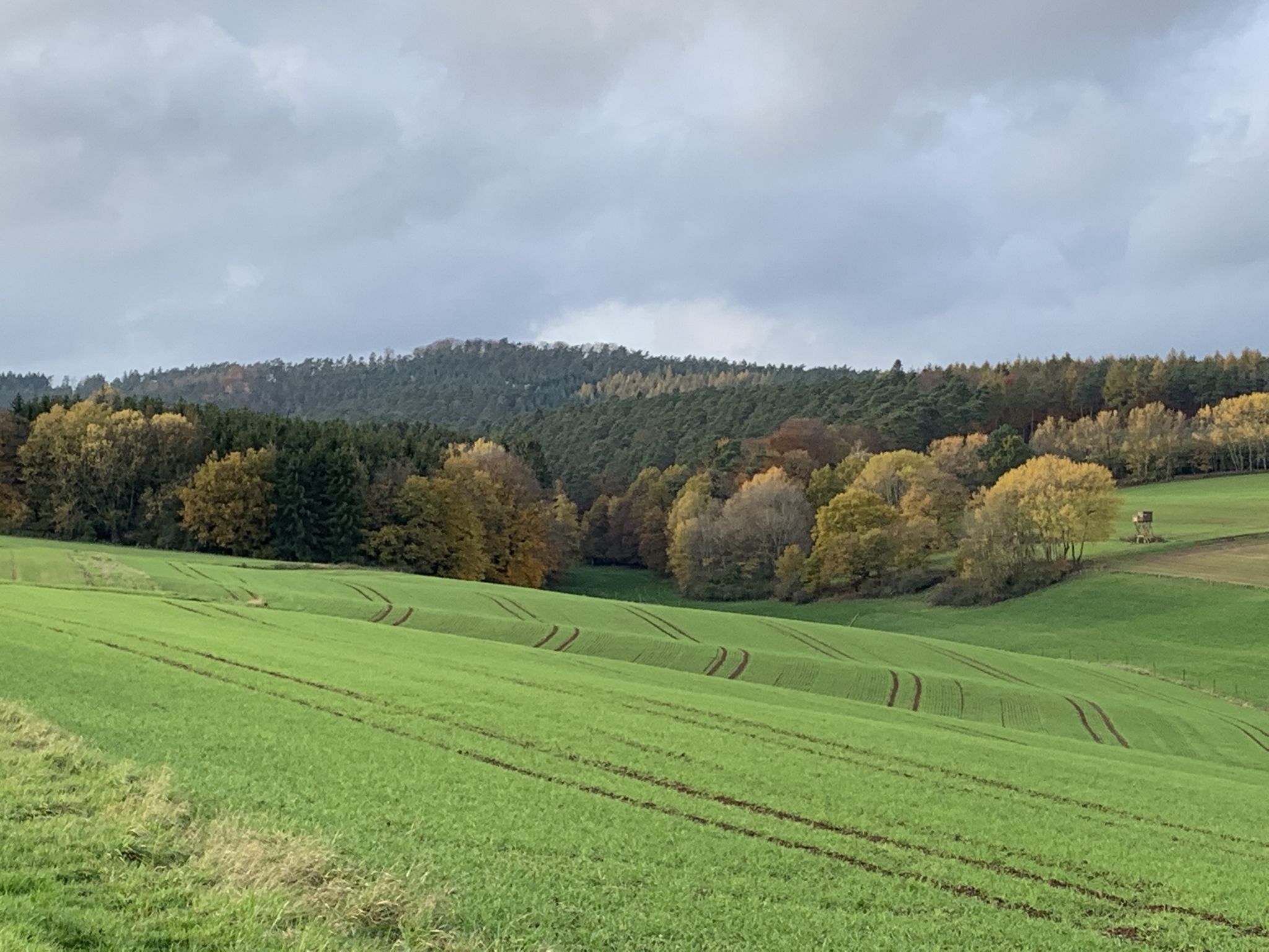 Blick Richtung Herzberg