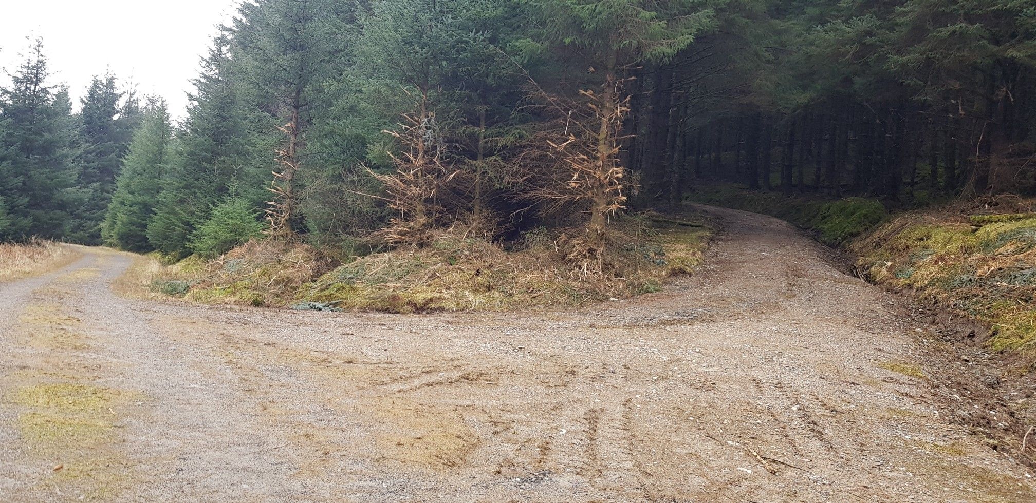 new route not on the map. perhaps concts to oyher one. good mtb route?