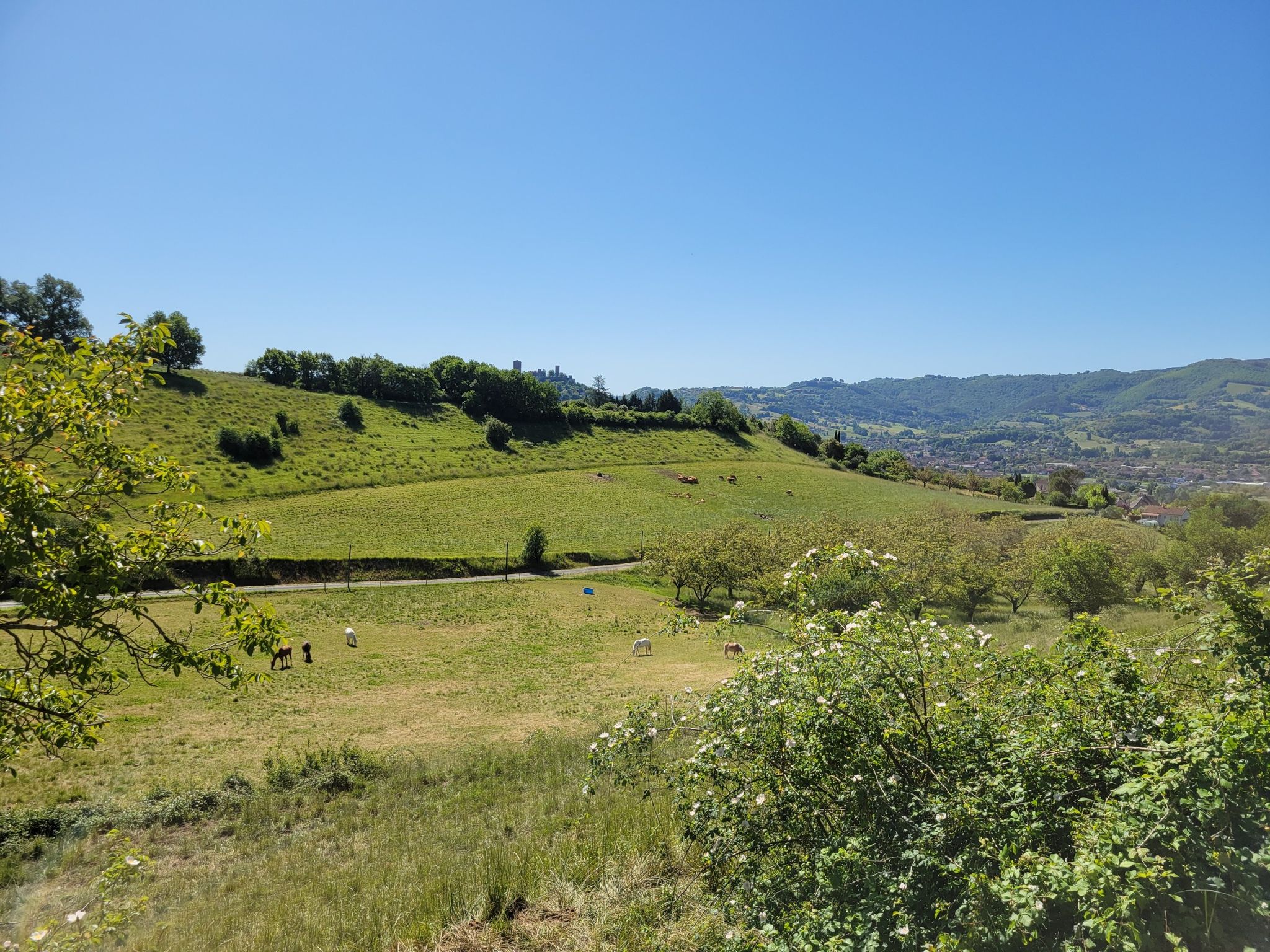 12eme km, récompense après la montée!