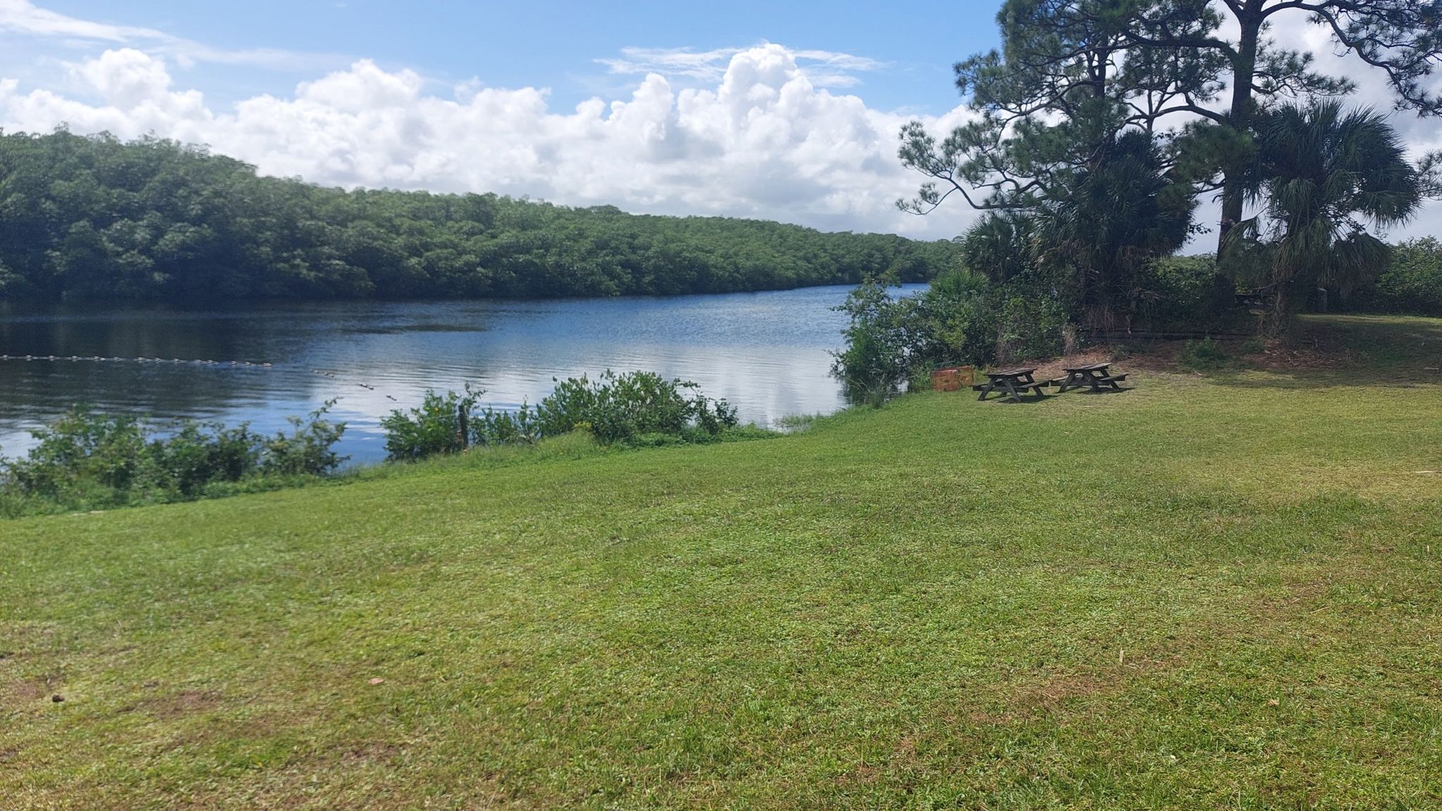 A calm river flows past a grassy bank with two empty picnic tables. - Visitor Center – Tour Boat Dock loop from Jonathan Dickinson State Park