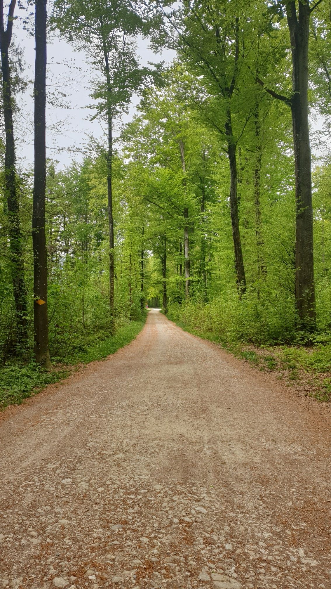 Lindenwald