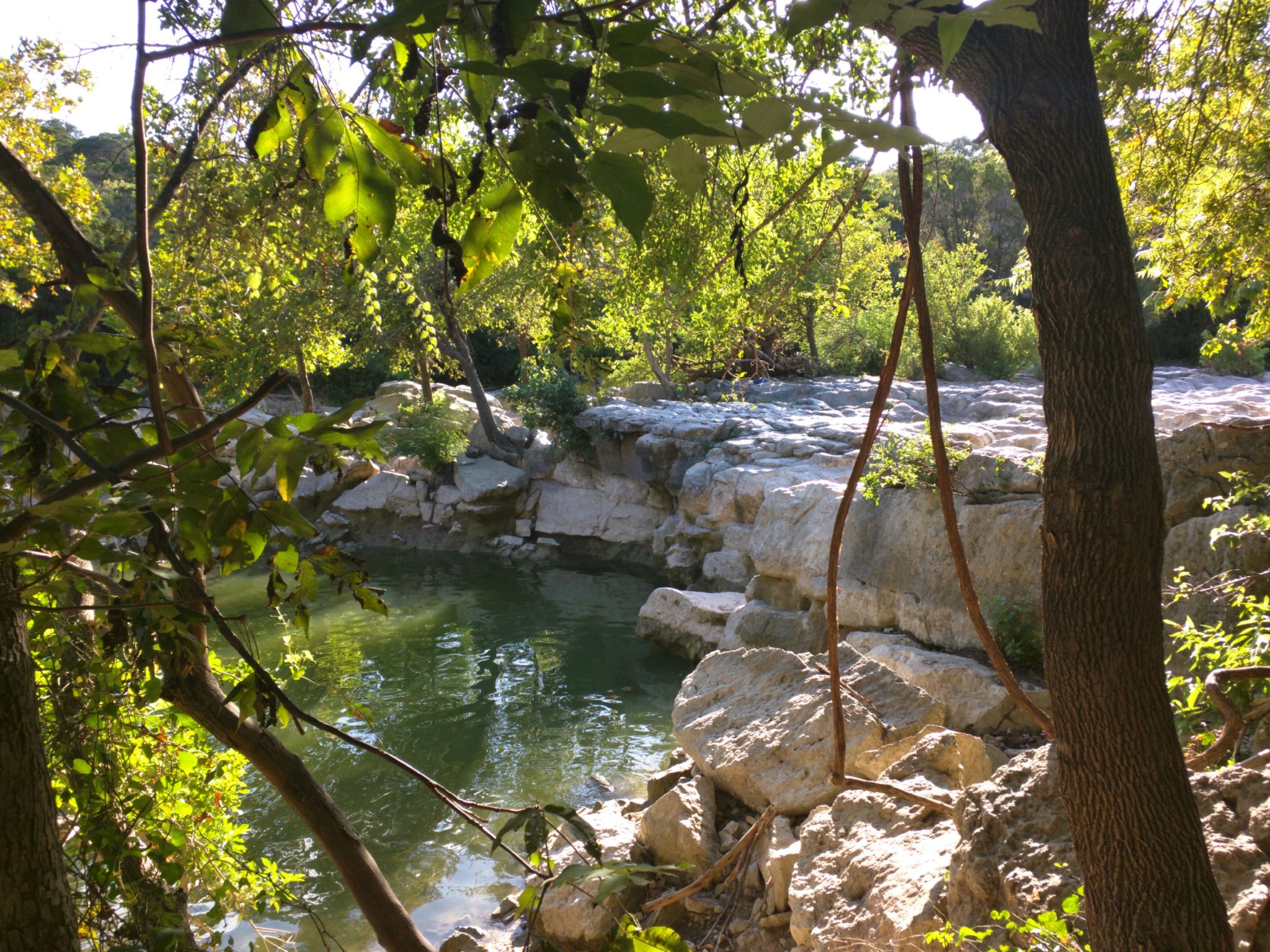 Sunny view of a small river pool through dense green foliage and trees. - Twin Falls and Sculpture Falls Via Barton Creek Greenbelt Trail