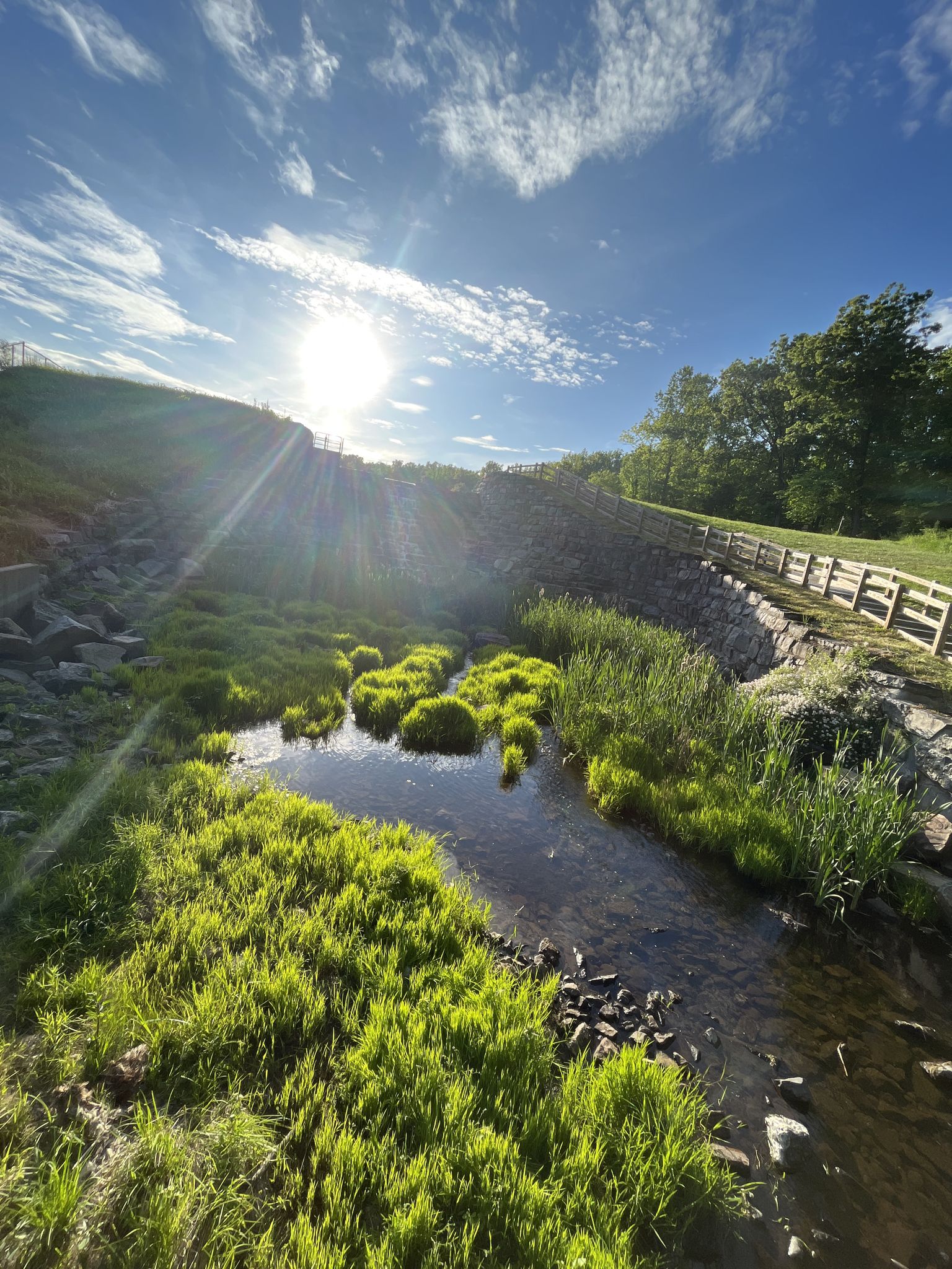 Sun-drenched stream with vibrant green grass and stone walls. - Coventry Woods Park – Hopewell Dam loop from Coventry Woods Park
