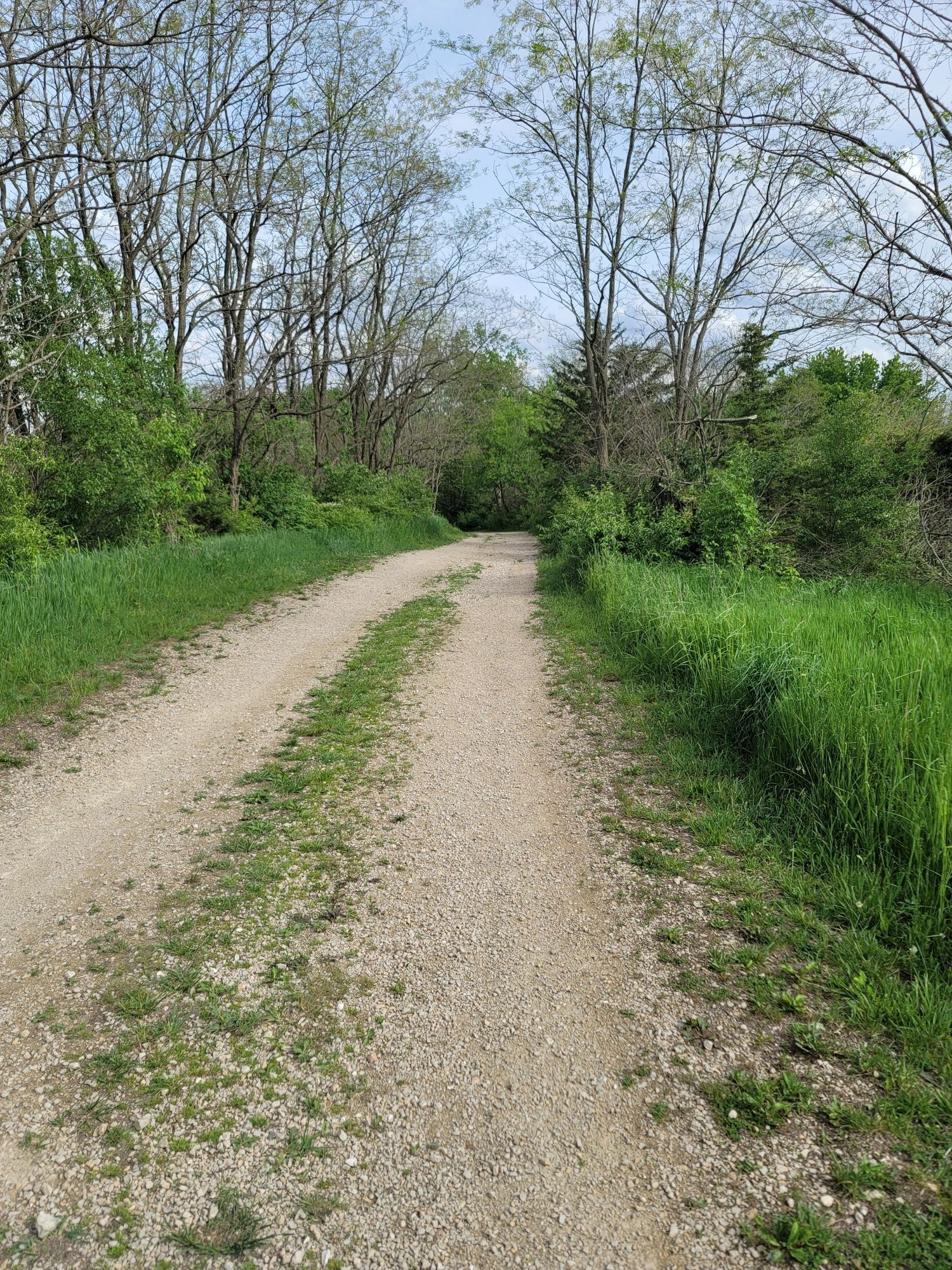 A sunlit dirt path winds through green grass and trees on a clear day. - Siegler Lake loop from Big Rock Forest Preserve