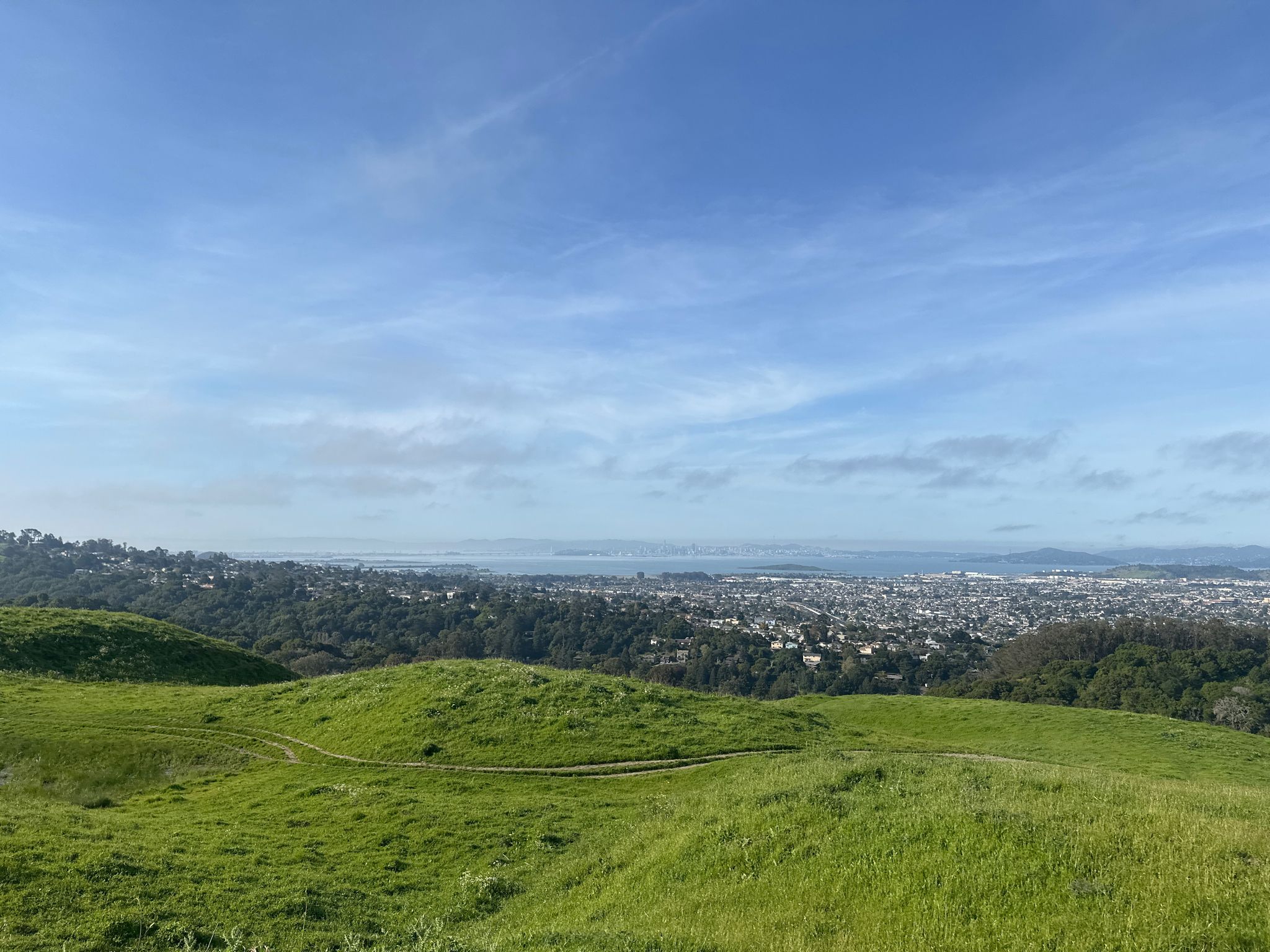 Bright green hills overlook a distant city and water under a blue sky. - San Pablo Ridge and Belgum Trail Loop