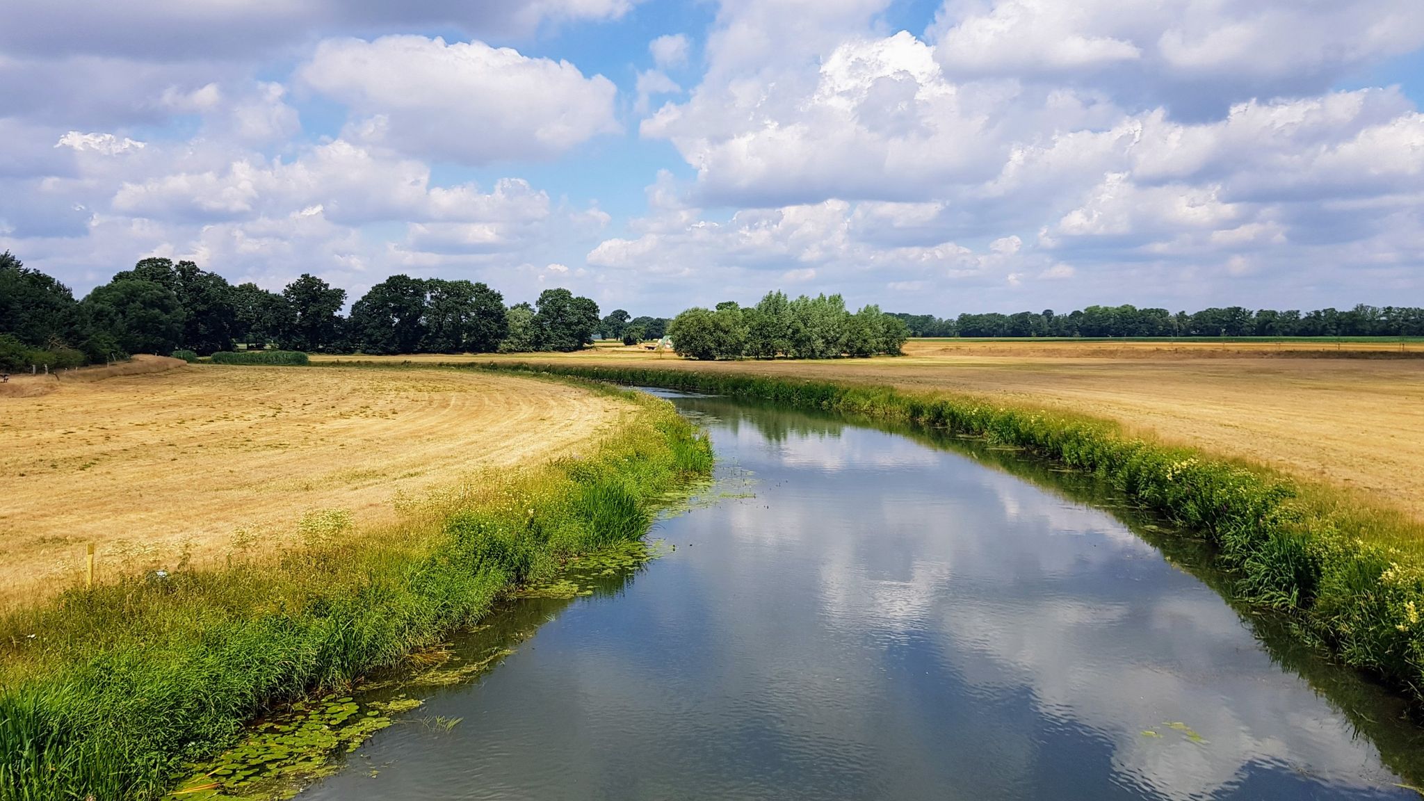 Allerblick