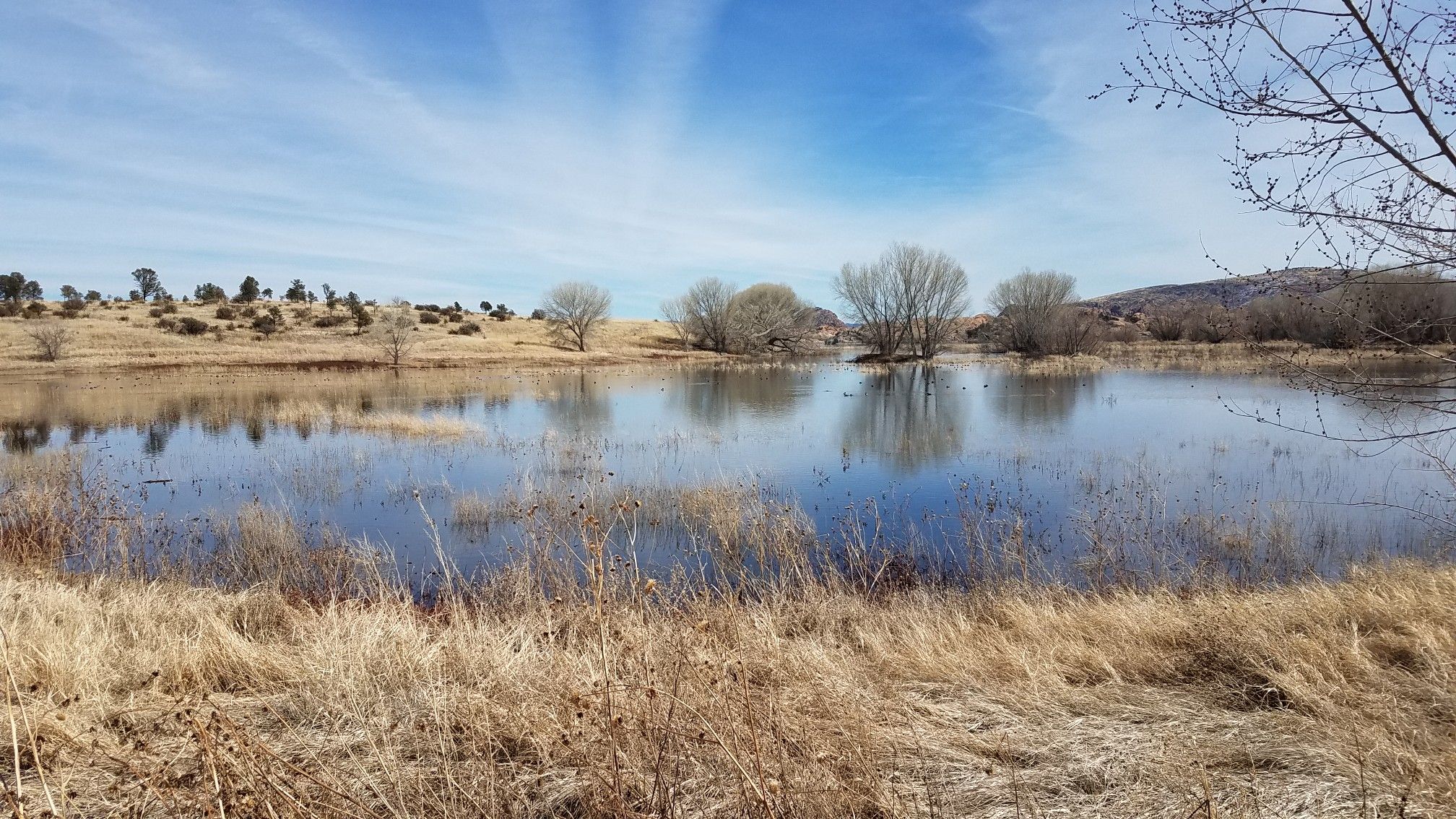 Calm pond reflecting bare trees, surrounded by dry grass and hills. - Willow Lake Loop Trail