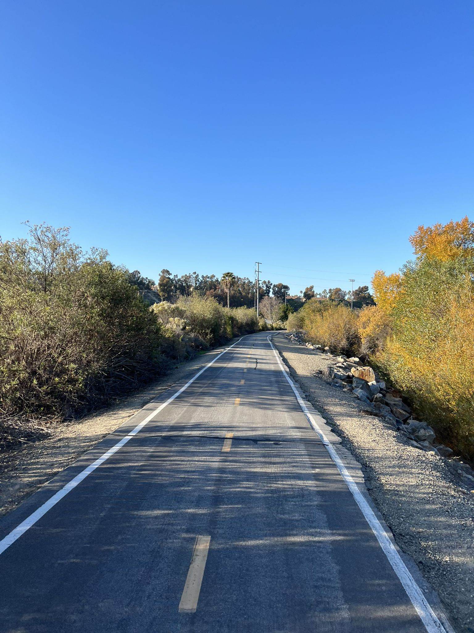 A straight paved path through dense brush under a clear blue sky. - Aliso Creek Trail