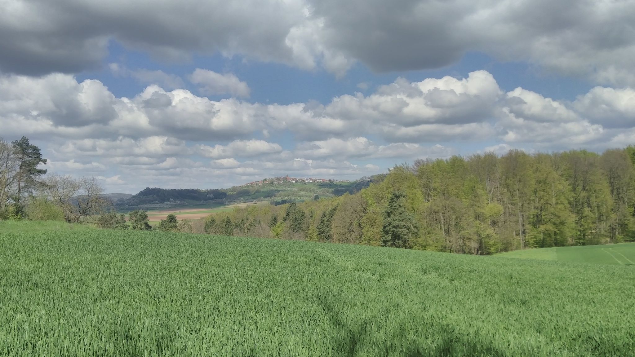 Fernblick auf Altenstein