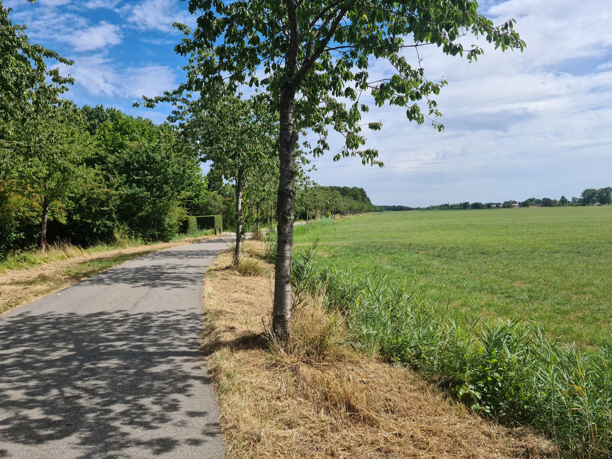 wat een ander landschap vergeleken met noord holland