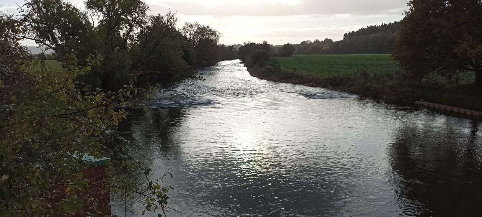 River Exe, westwards from Thorverton bridge