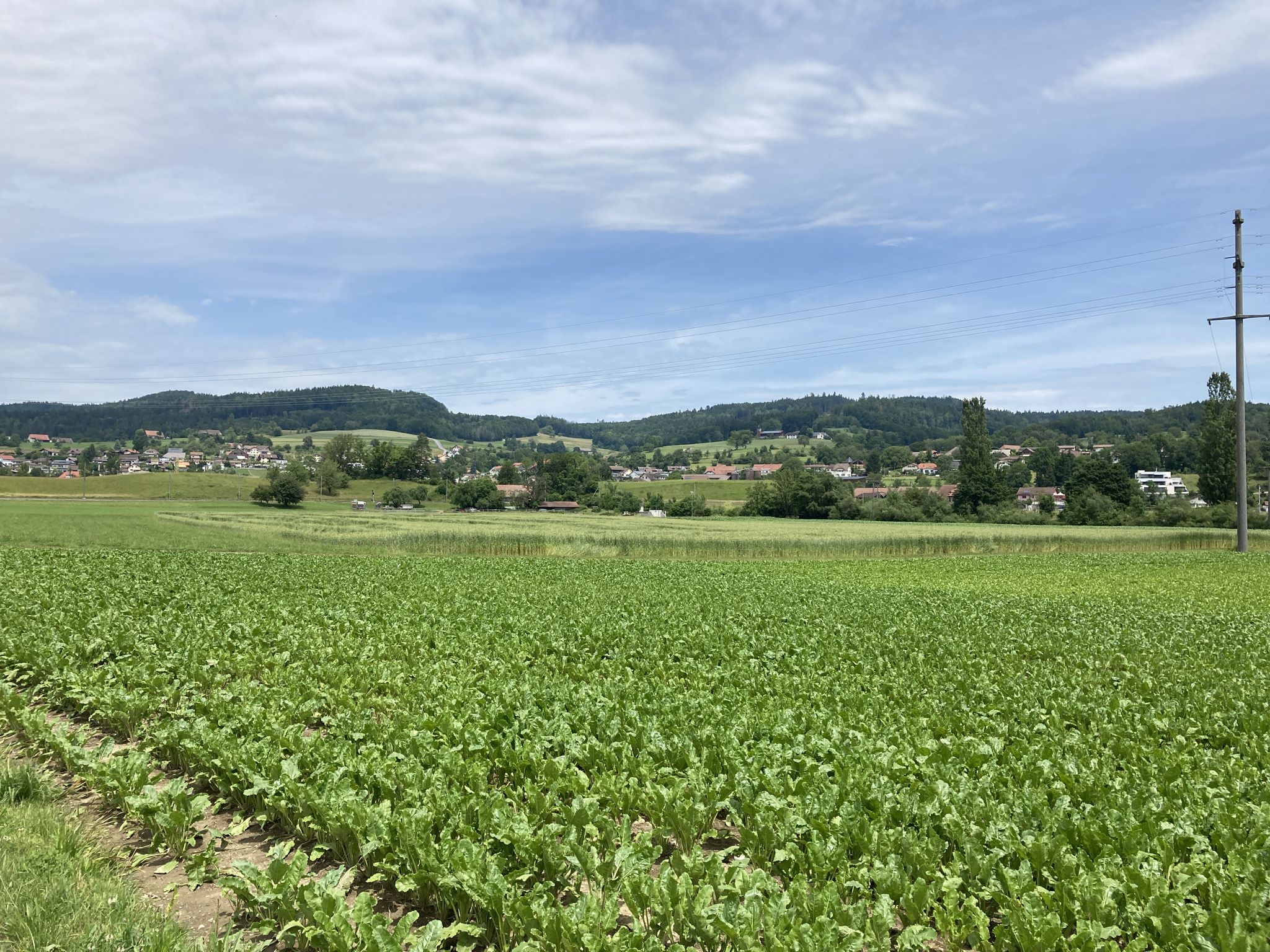 Zetzwil vom Moos aus