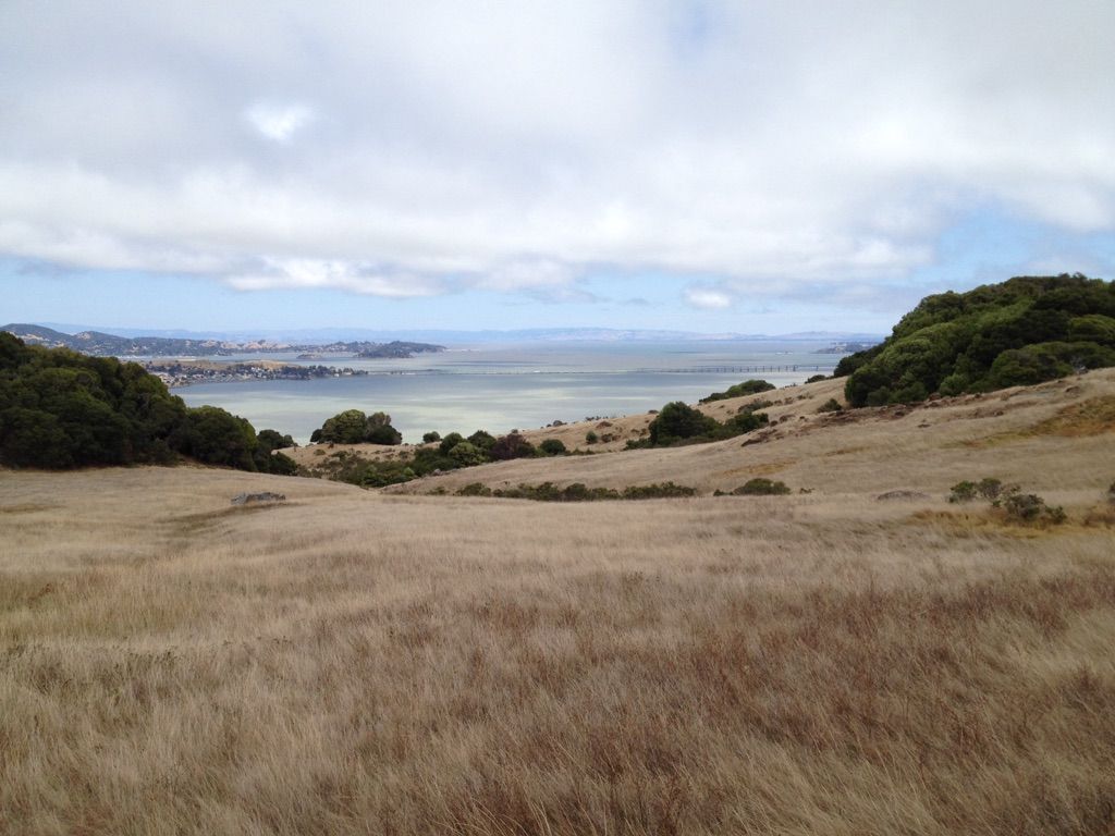 Point San Quentin & Richmond - San Rafael Bridge