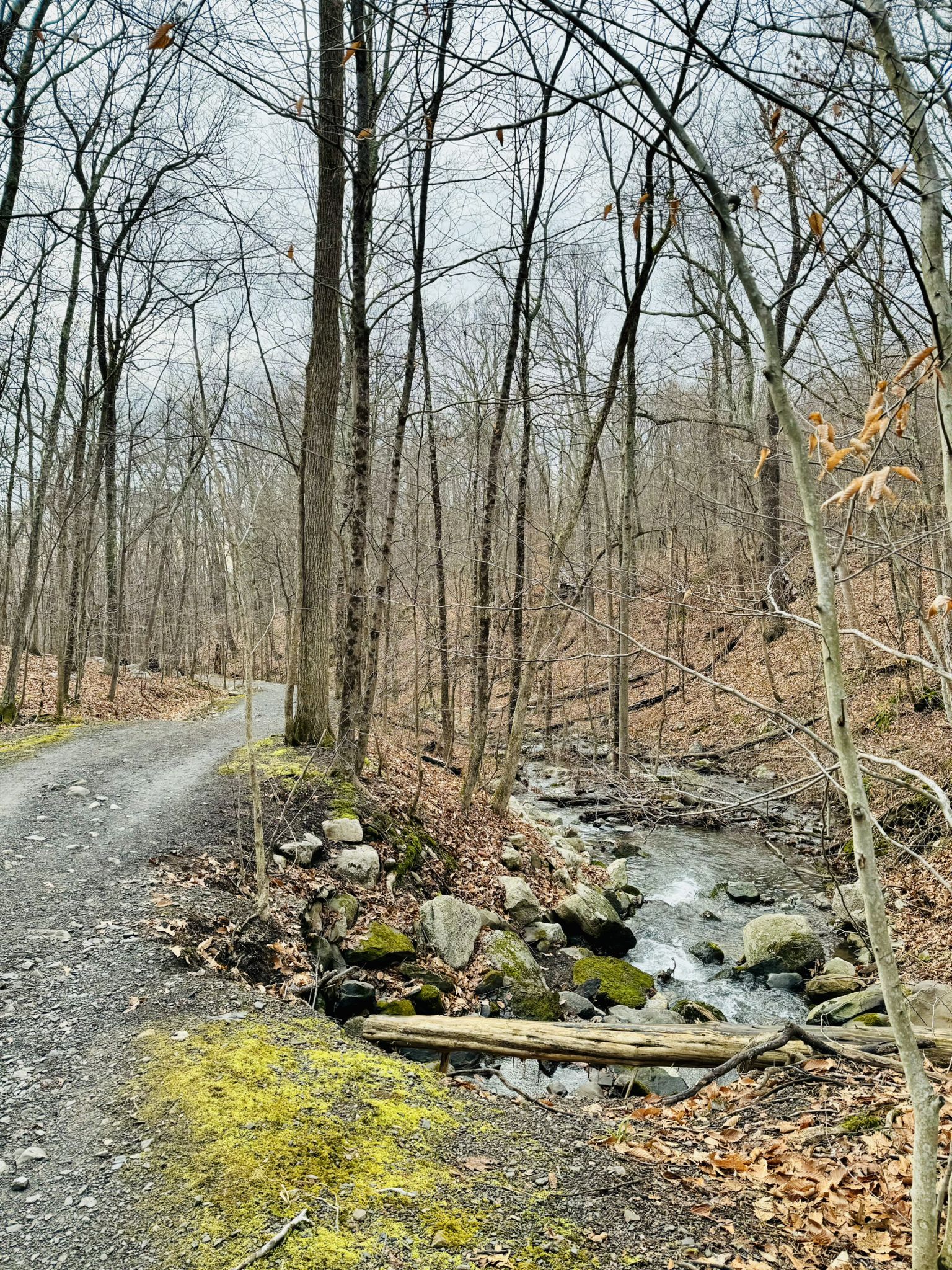 Gravel path through a bare winter forest next to a rocky stream. - Duck Pond – Duck Pond loop from Benton Corners