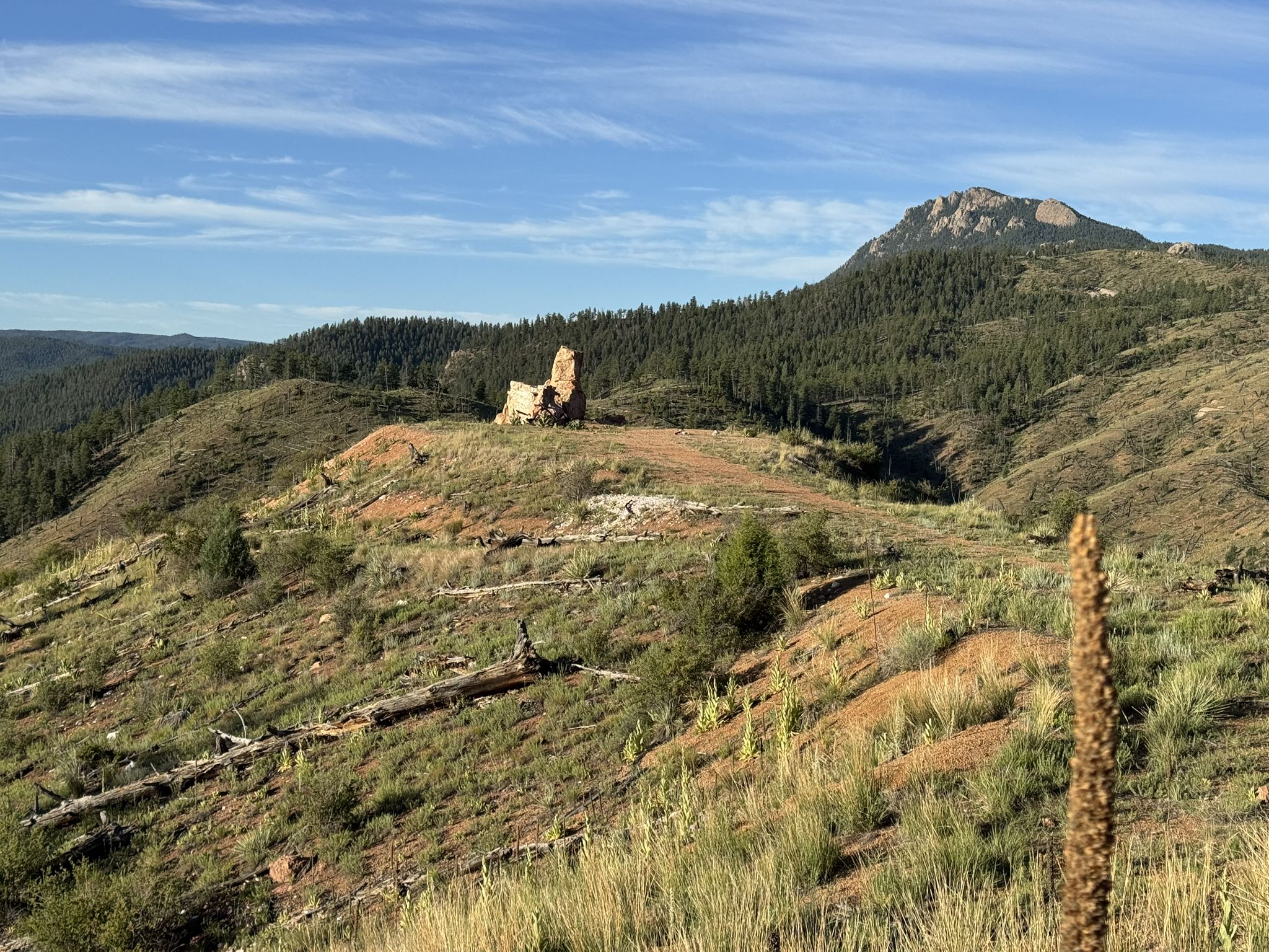 Sunny hills with stone ruins on a ridge, forested mountains in the distance. - Raleigh Peak Loop via Colorado Trail
