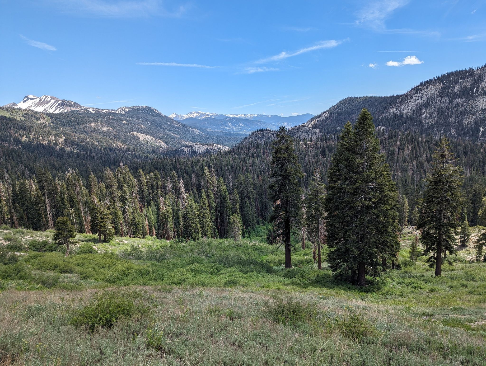 Wide mountain vista with dense pine forests and distant snow-capped peaks under blue sky. - High Trail