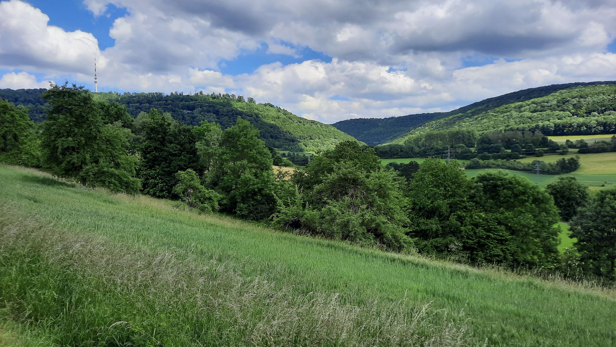Blick zum Braunen Berg