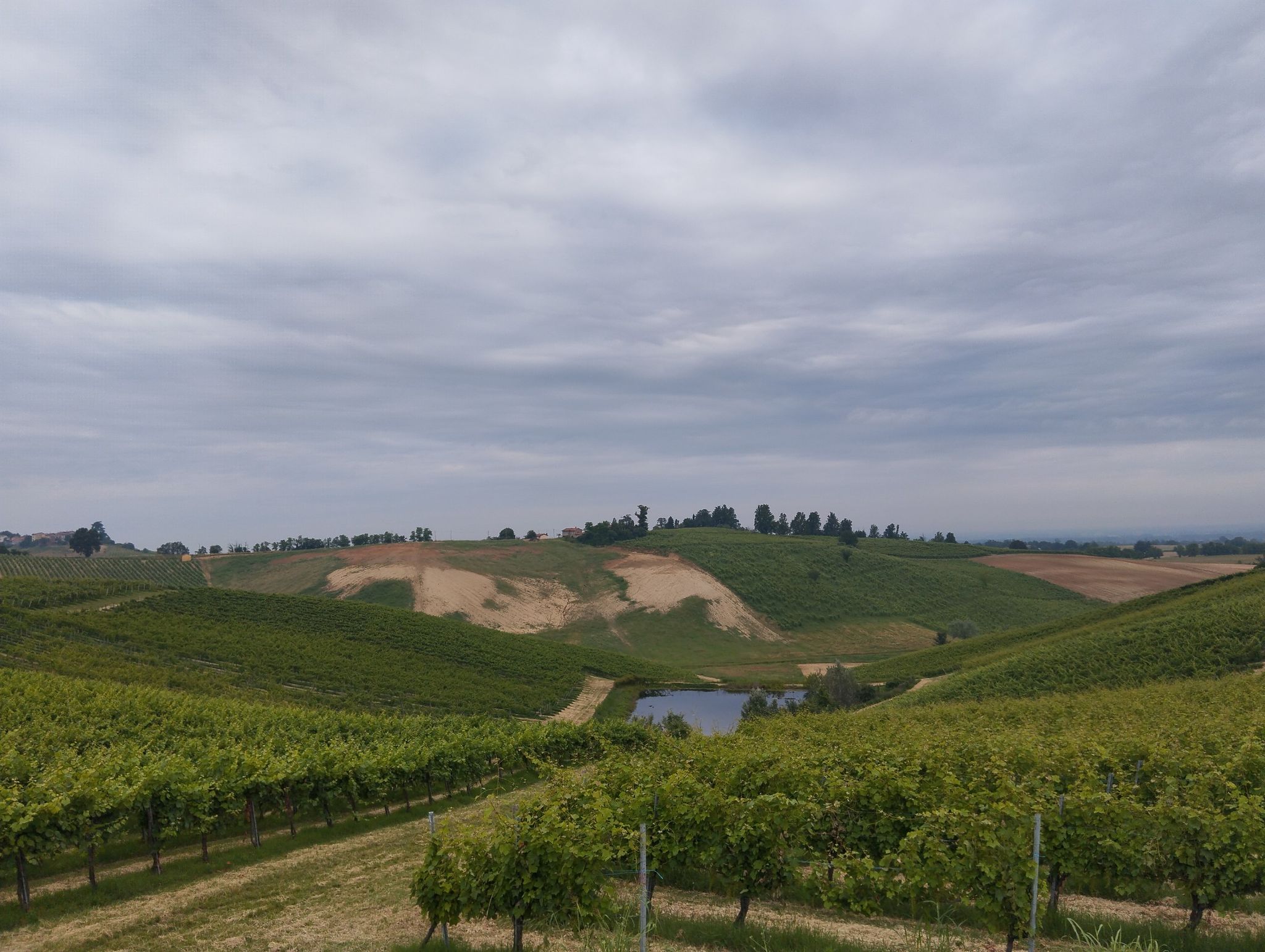 Piacenza e Pavia