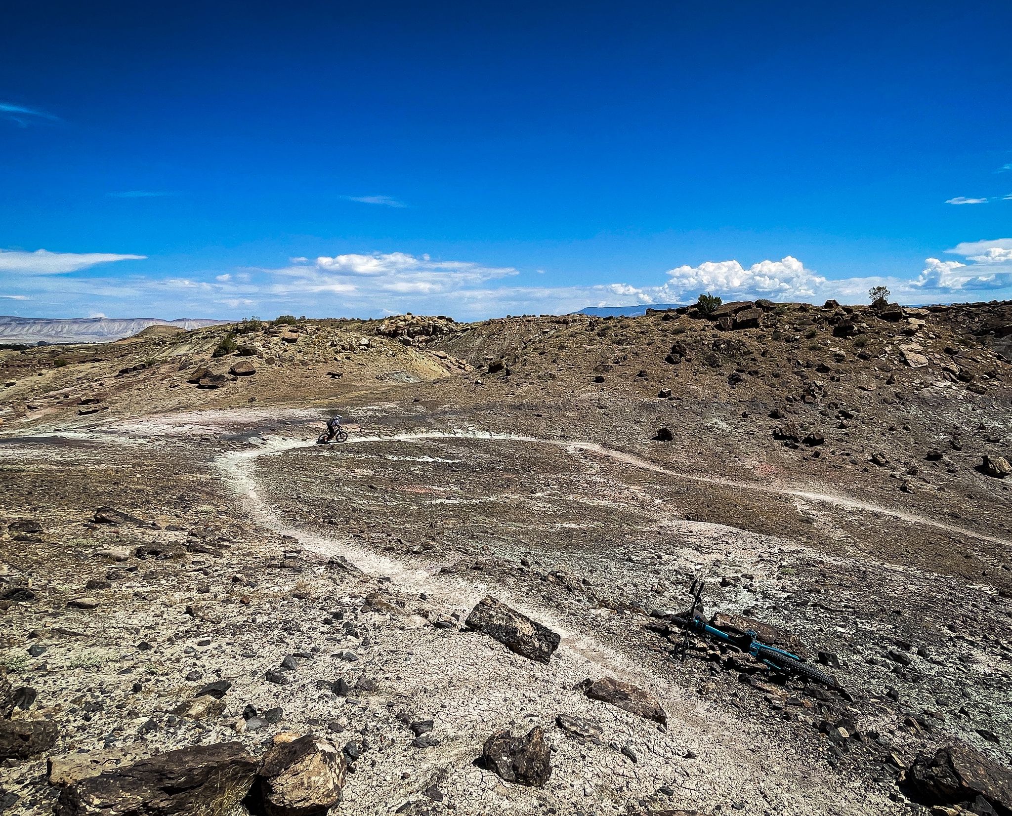Vast desert landscape with winding dirt trails and a distant biker under blue sky. - Eagles Trail, Lemon Squeezer and Tabeguache Loop