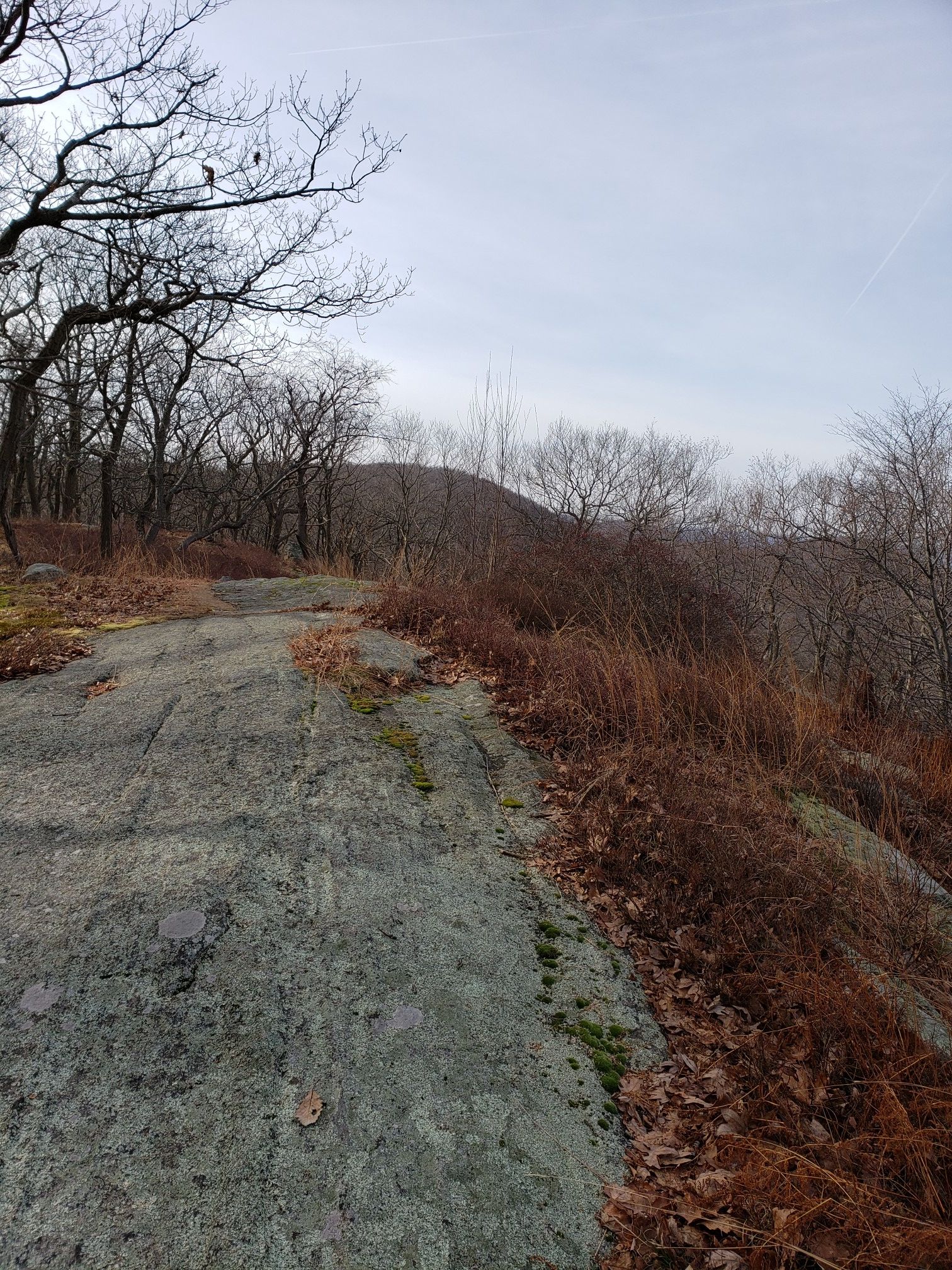 Rocky path through a bare winter forest under an overcast sky. - South Stockbridge Mountain via Menomine Trail loop