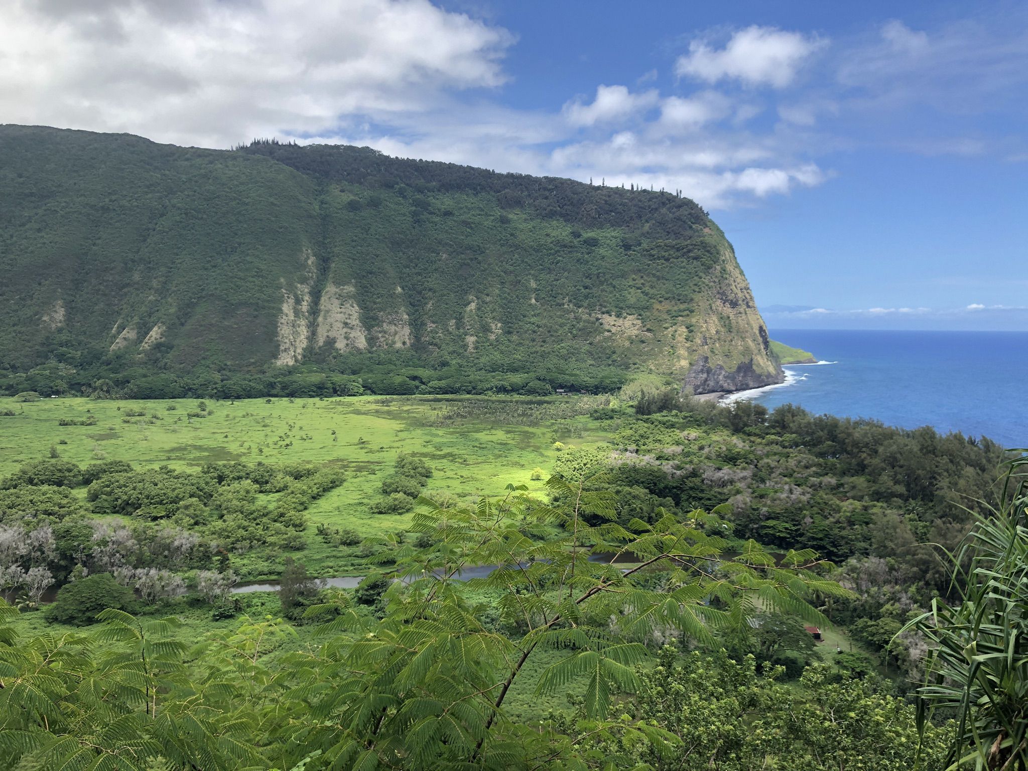 Expansive green valley, coastal cliff, and ocean under a bright, partly cloudy sky. - Waipi'o Valley Road Trail