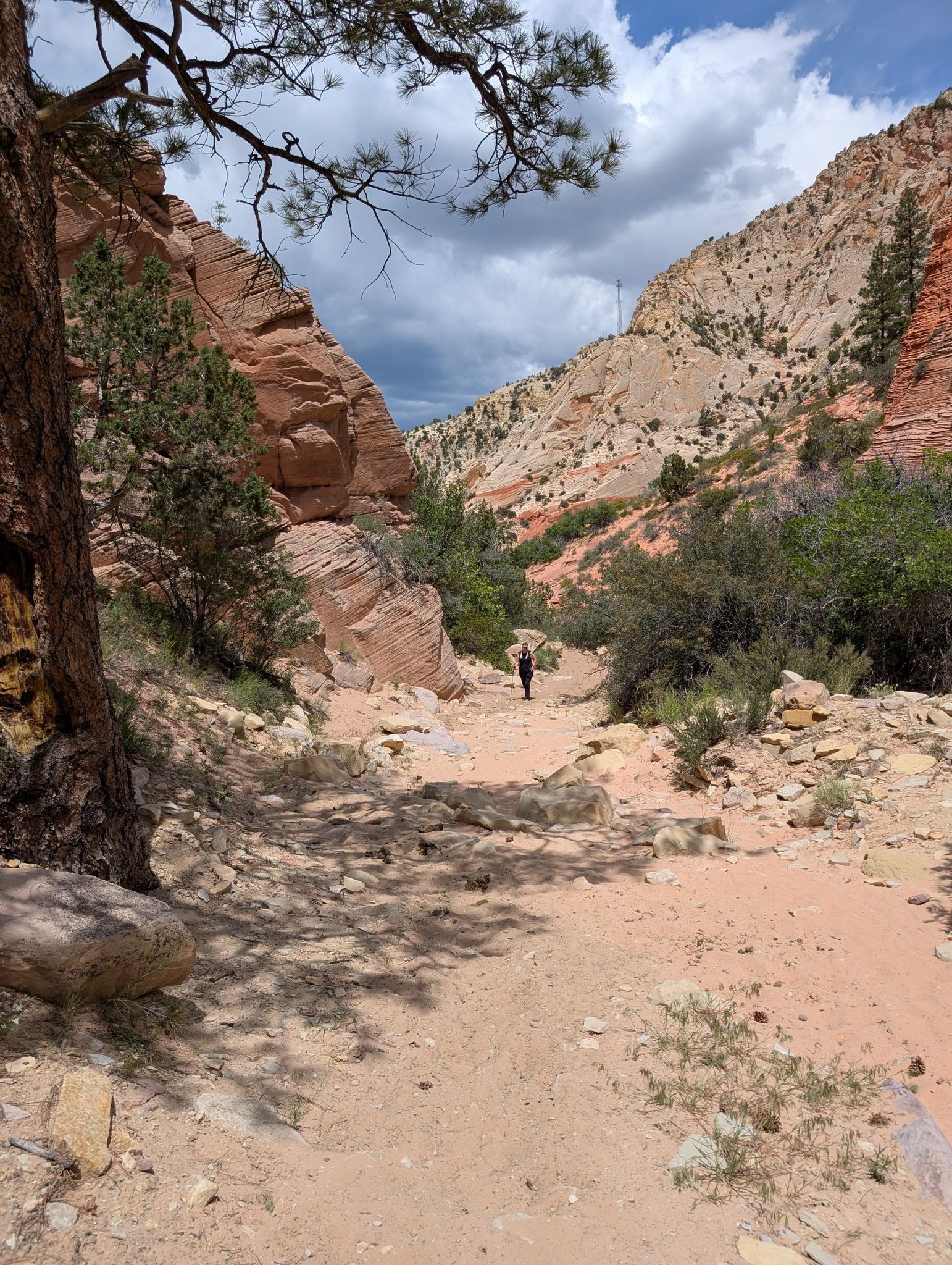 Person walks on a sandy canyon path under a partly cloudy sky. - Red Hollow Slot Canyon Trail