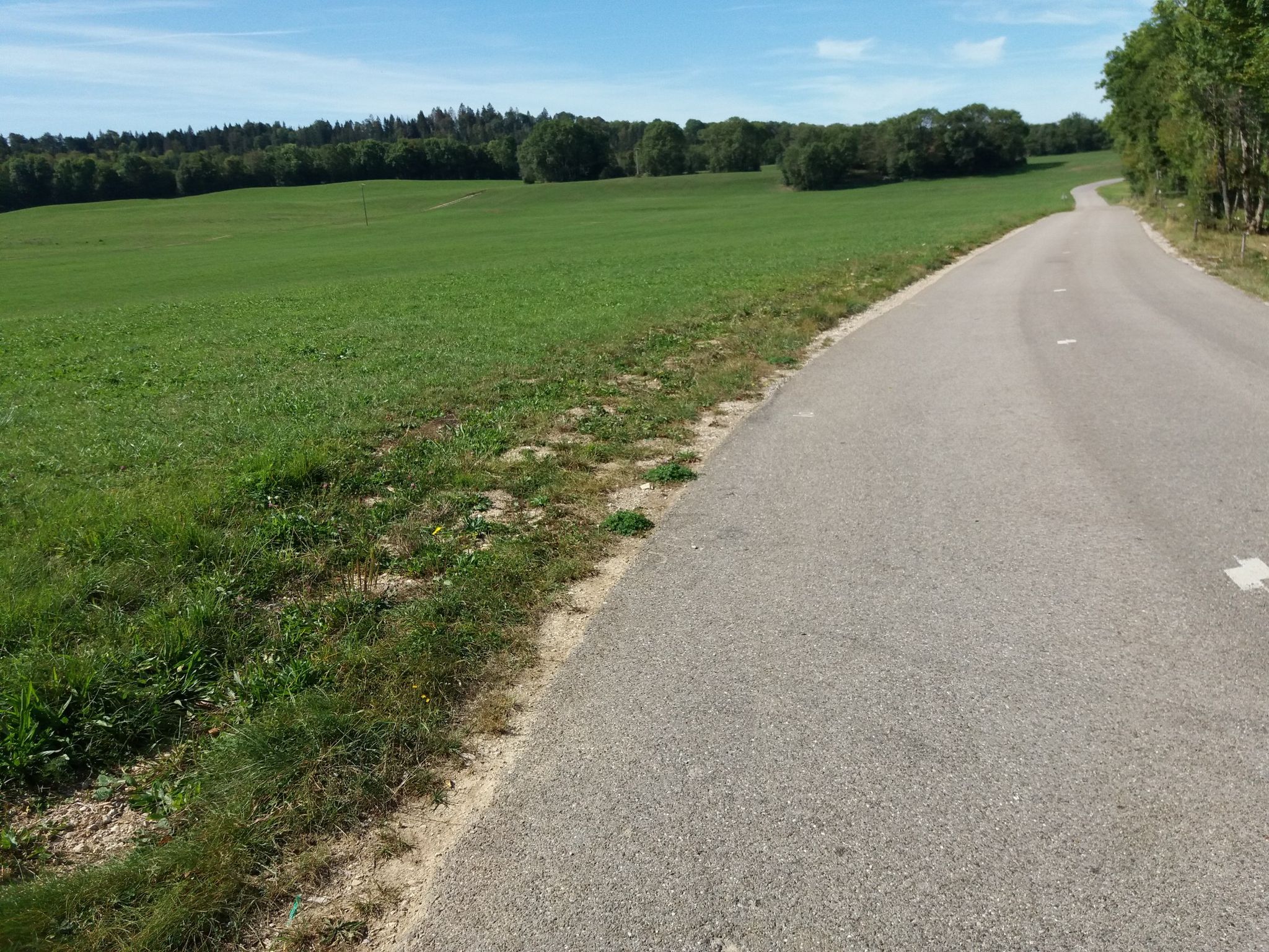 Wieder allein auf weiter Flur