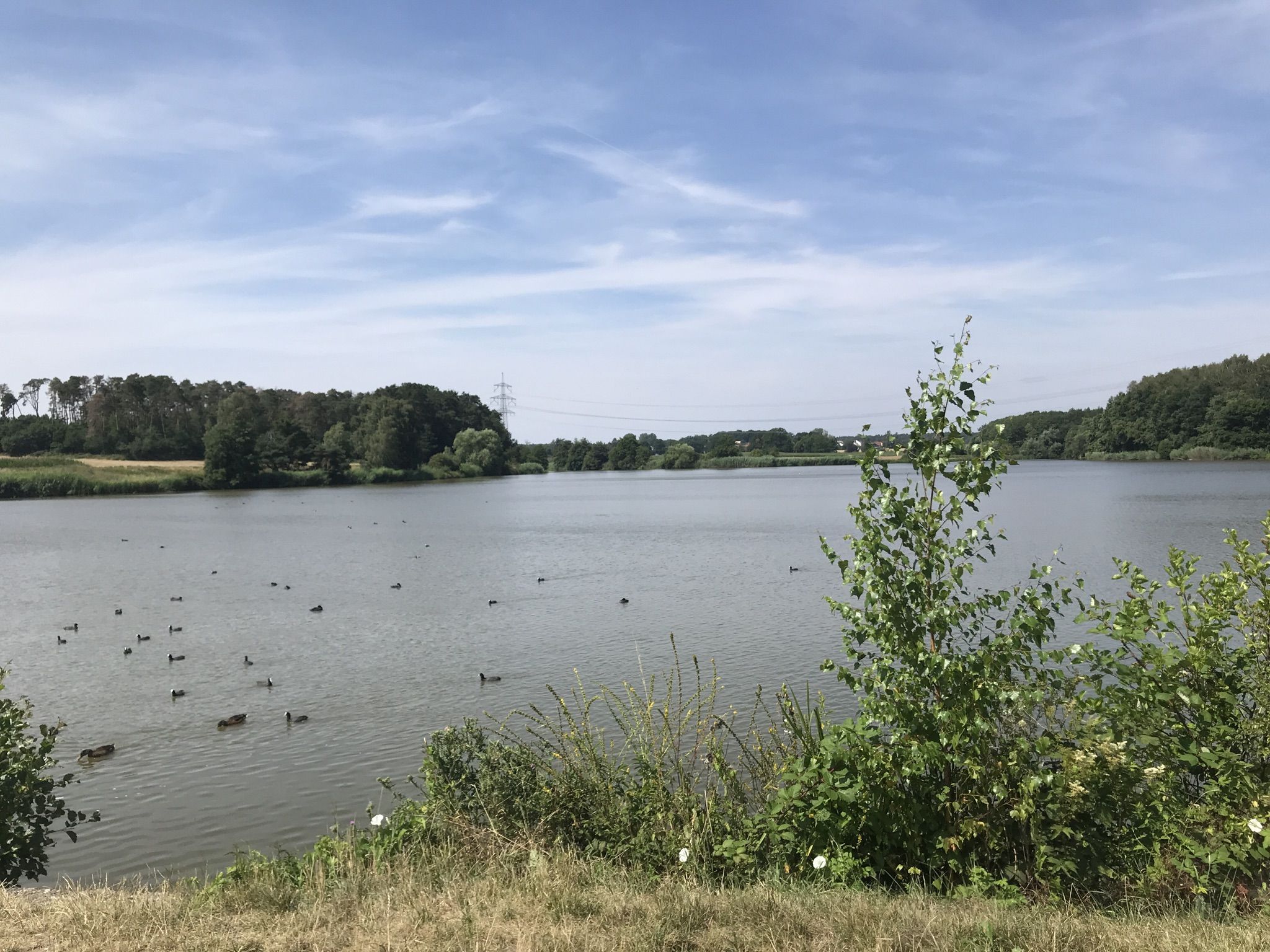 Dummetsweiher