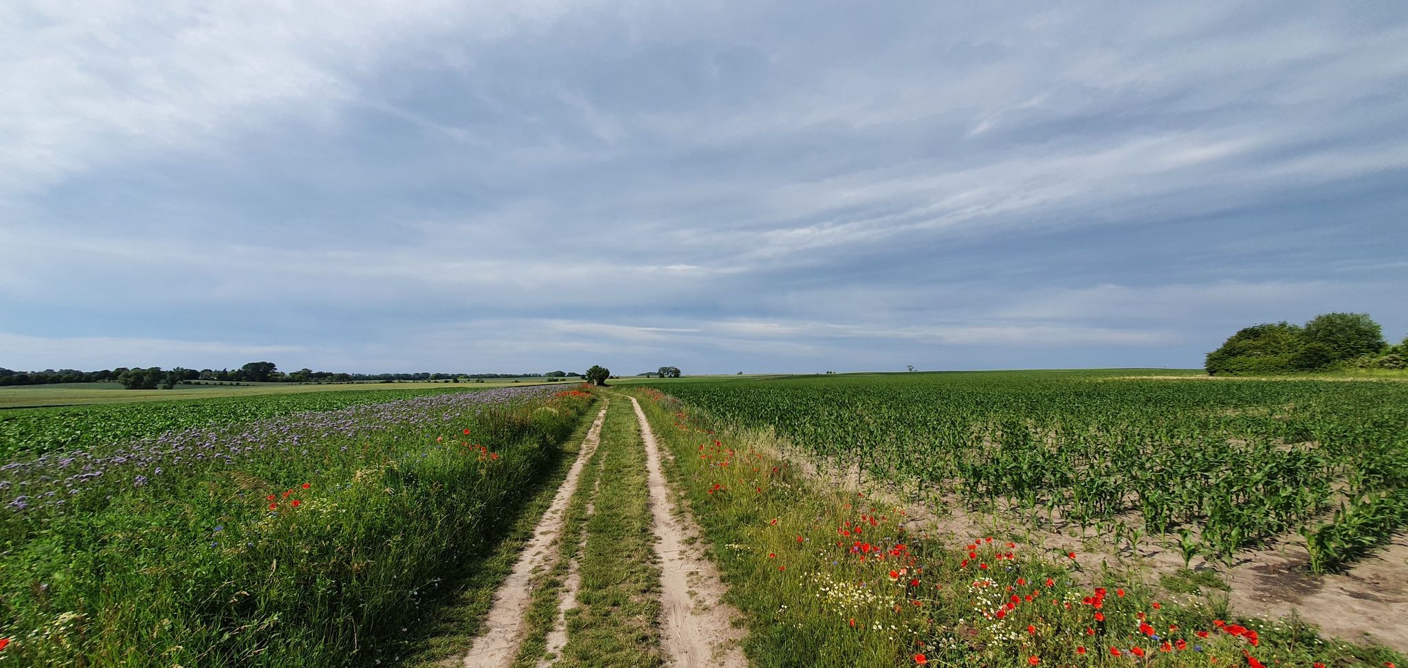 von Kirchhof nach Gollwitz