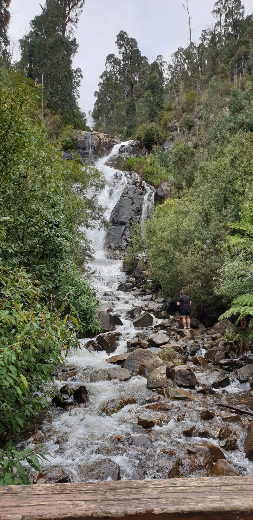 Steavenson Falls