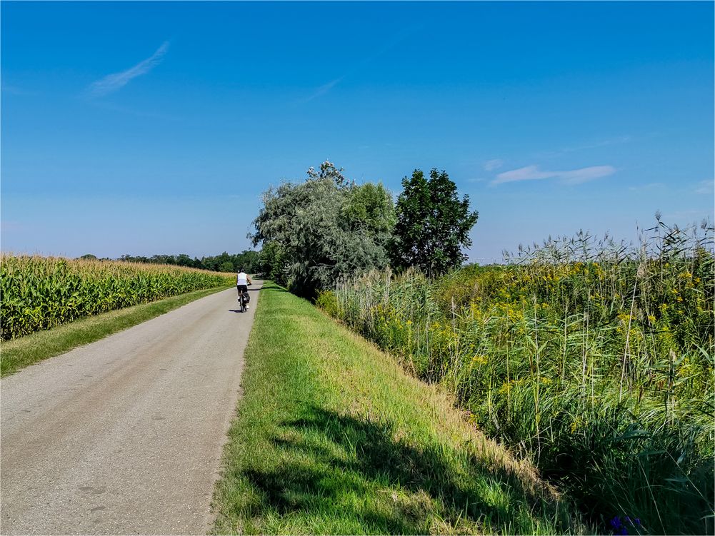 Zwischen Wallern und Tadten