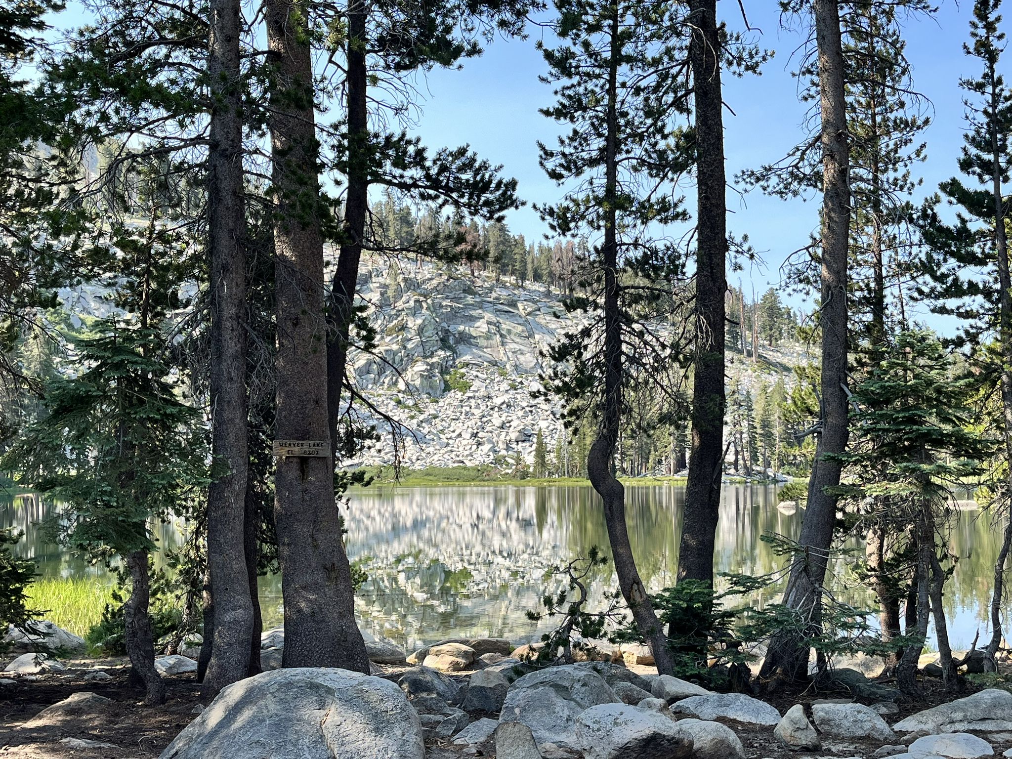 Calm lake reflecting a rocky mountain, framed by tall pine trees in daylight. - Weaver Lake Trail