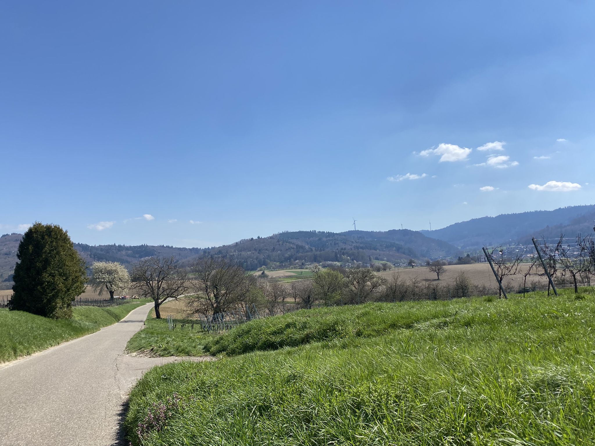 Vers Diersburg en venant d'Hofweier