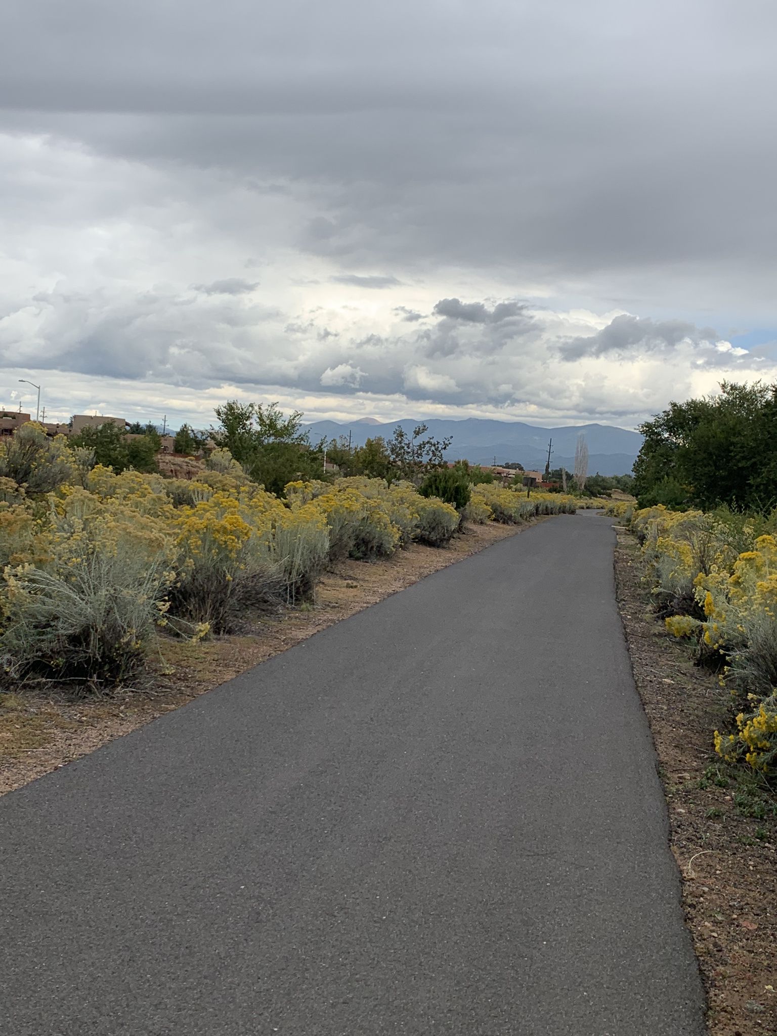 Paved path winds through yellow desert shrubs under a cloudy sky. - Arroyo de los Chamisos Trail loop