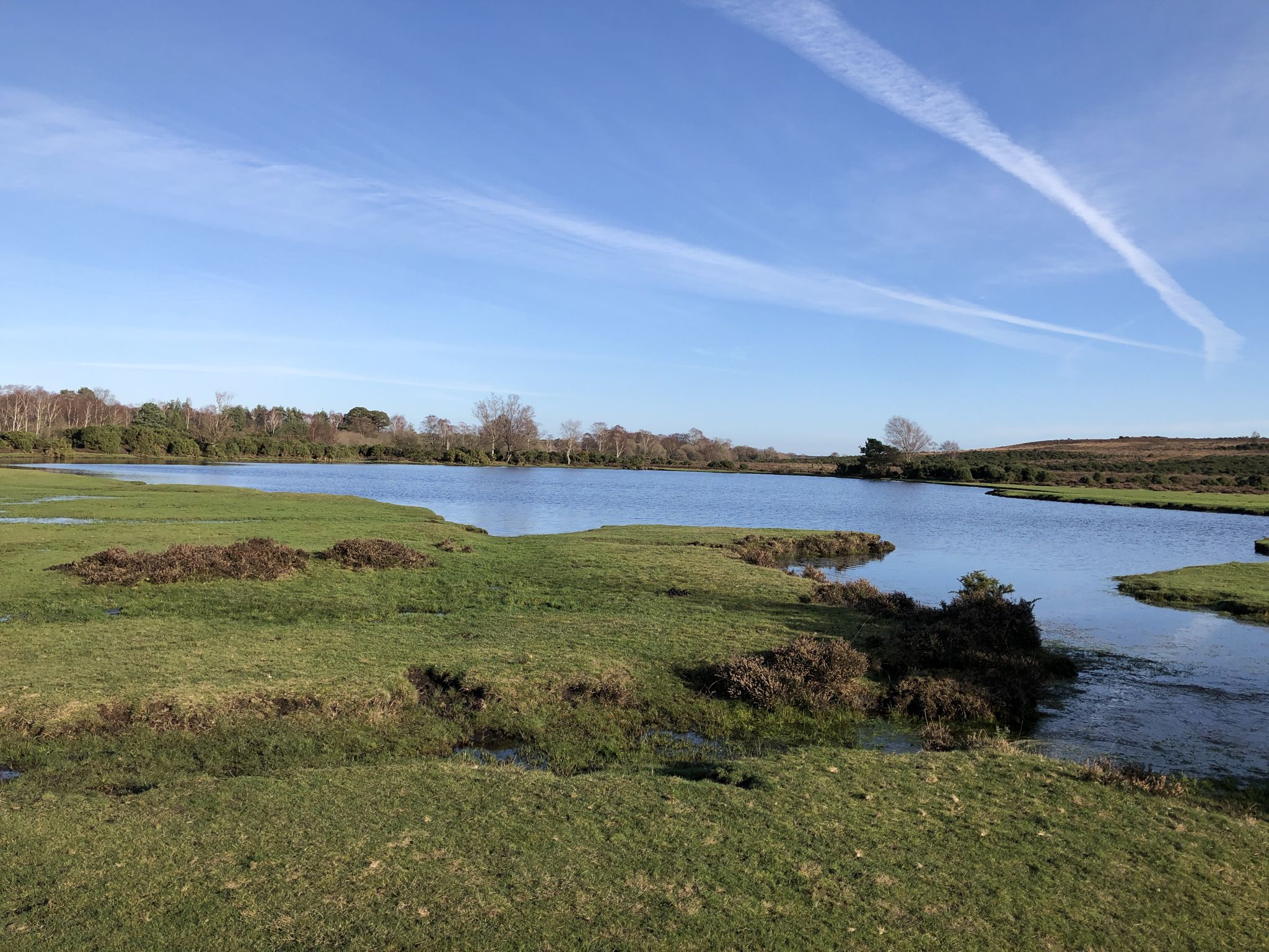 Whiten Pond 