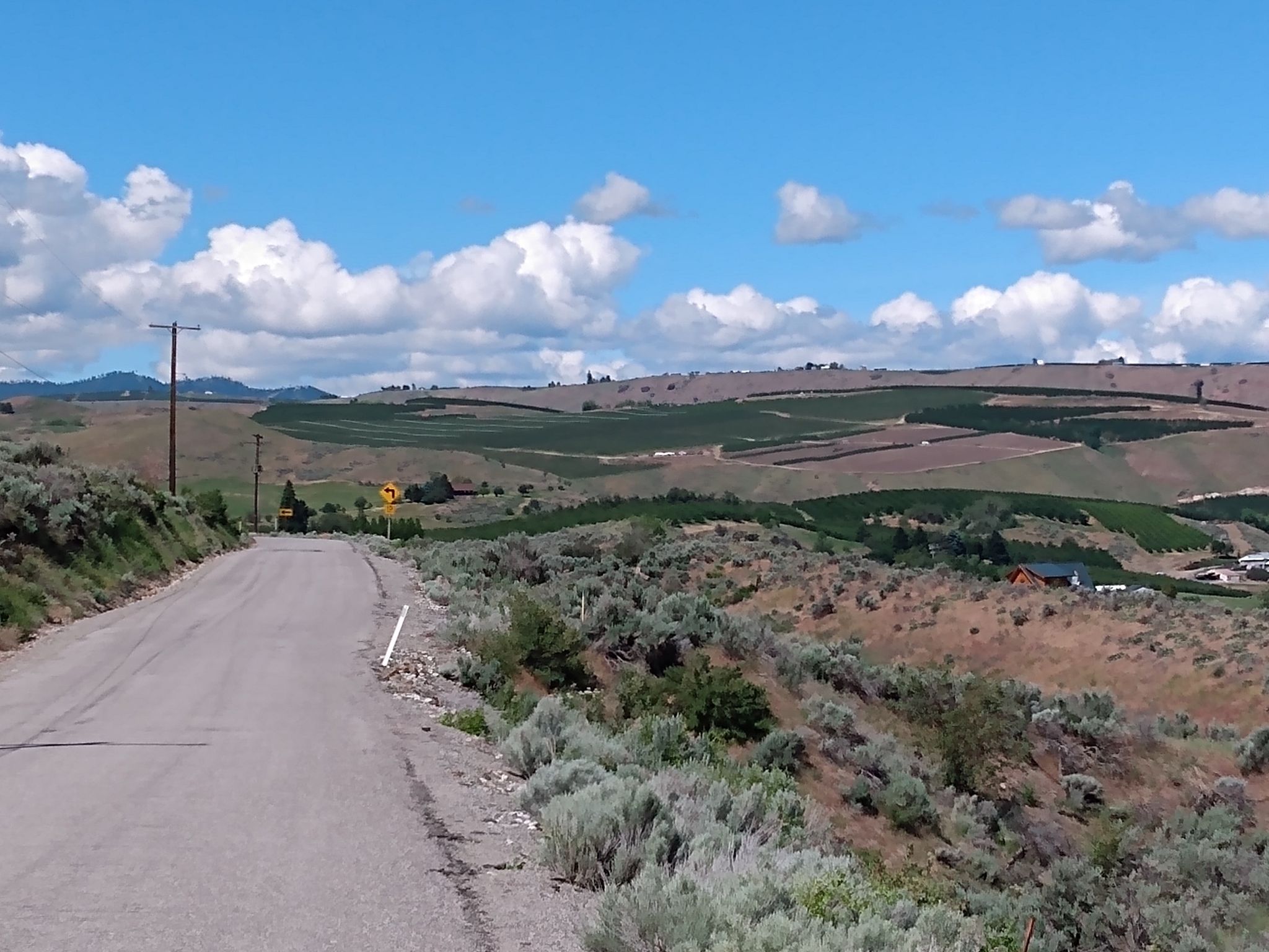 Rural road winding through dry, hilly agricultural landscape under a bright sky. - Malaga loop
