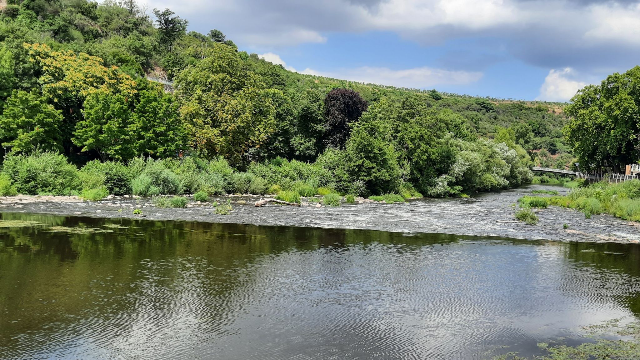 Die Nahe in Bad Kreuznach