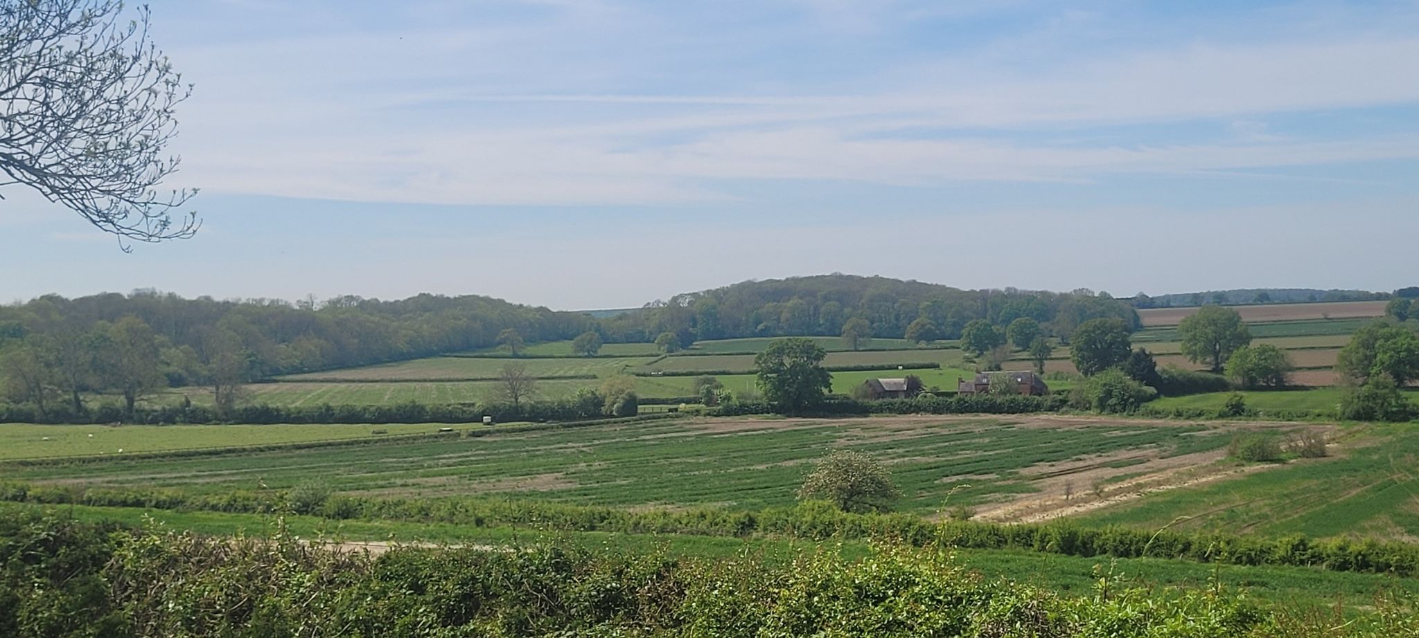 countryside